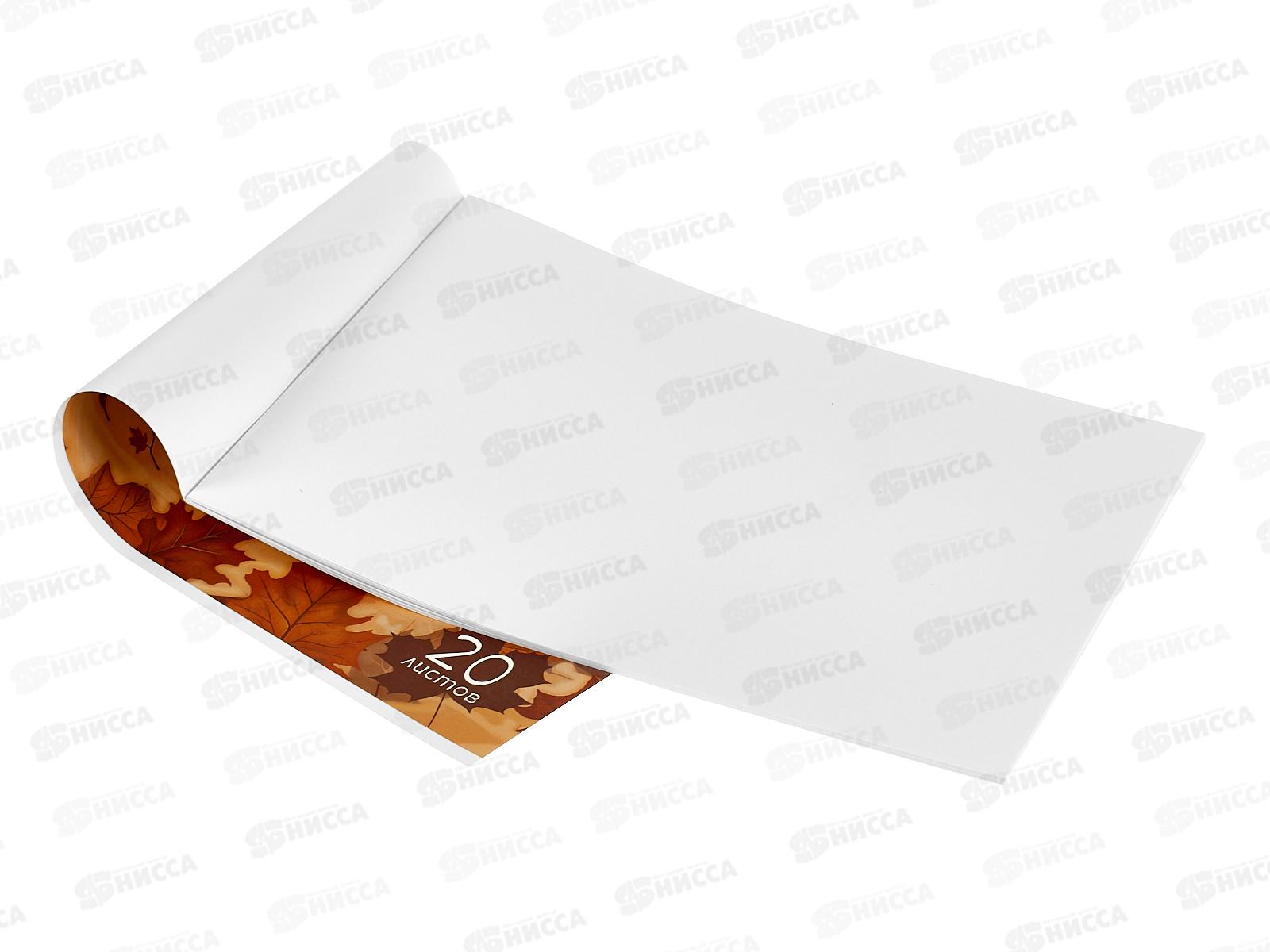 Альбом д/рис.20л Hatber Рыжие лисички 091477  *12/70