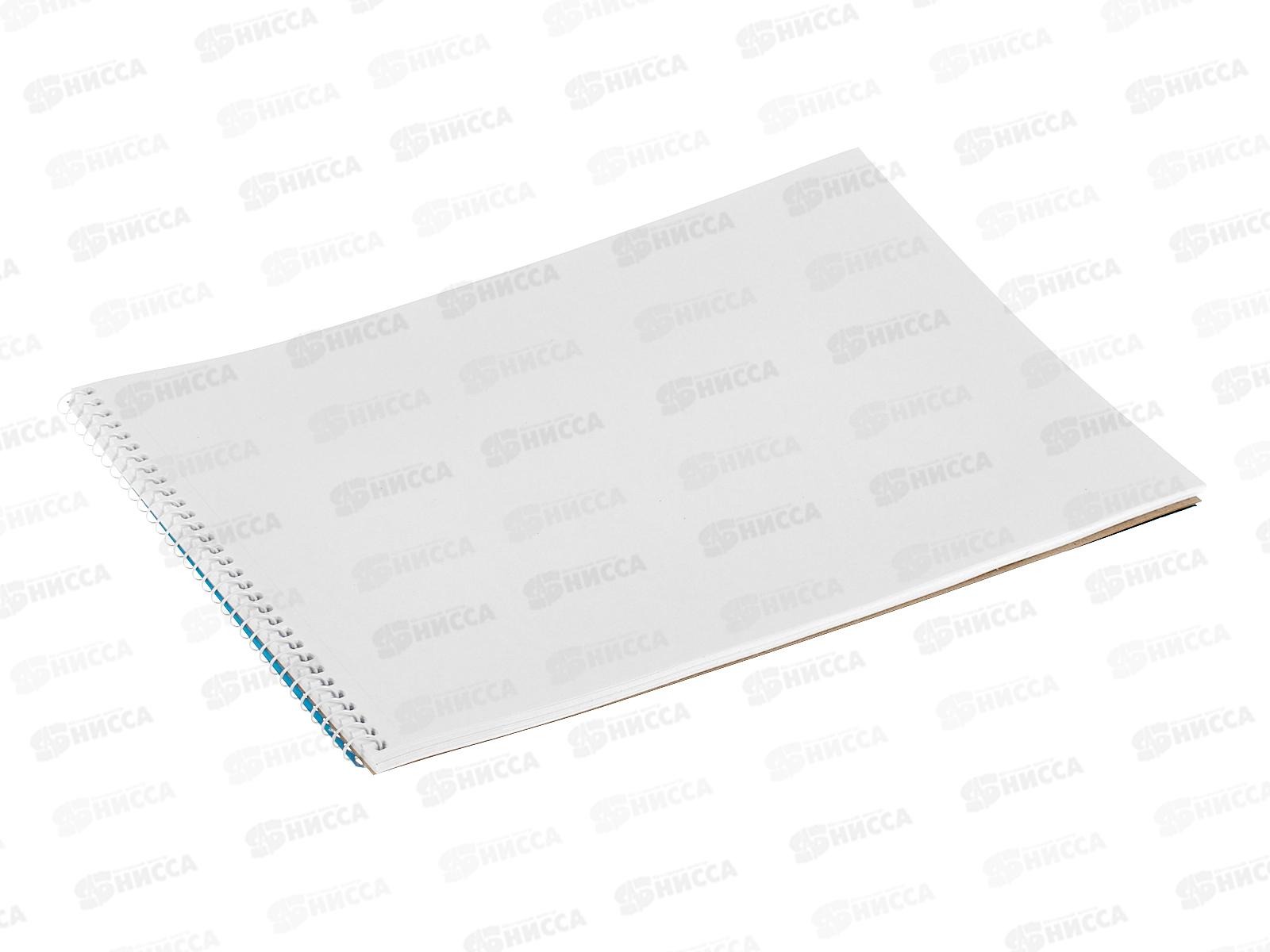 Альбом д/рис.40л Hatber Ассорти выпуск№4, 091570  *4/32