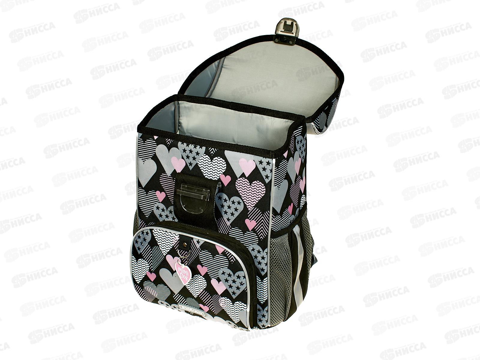 Рюкзак EK  ErgoLine 48256