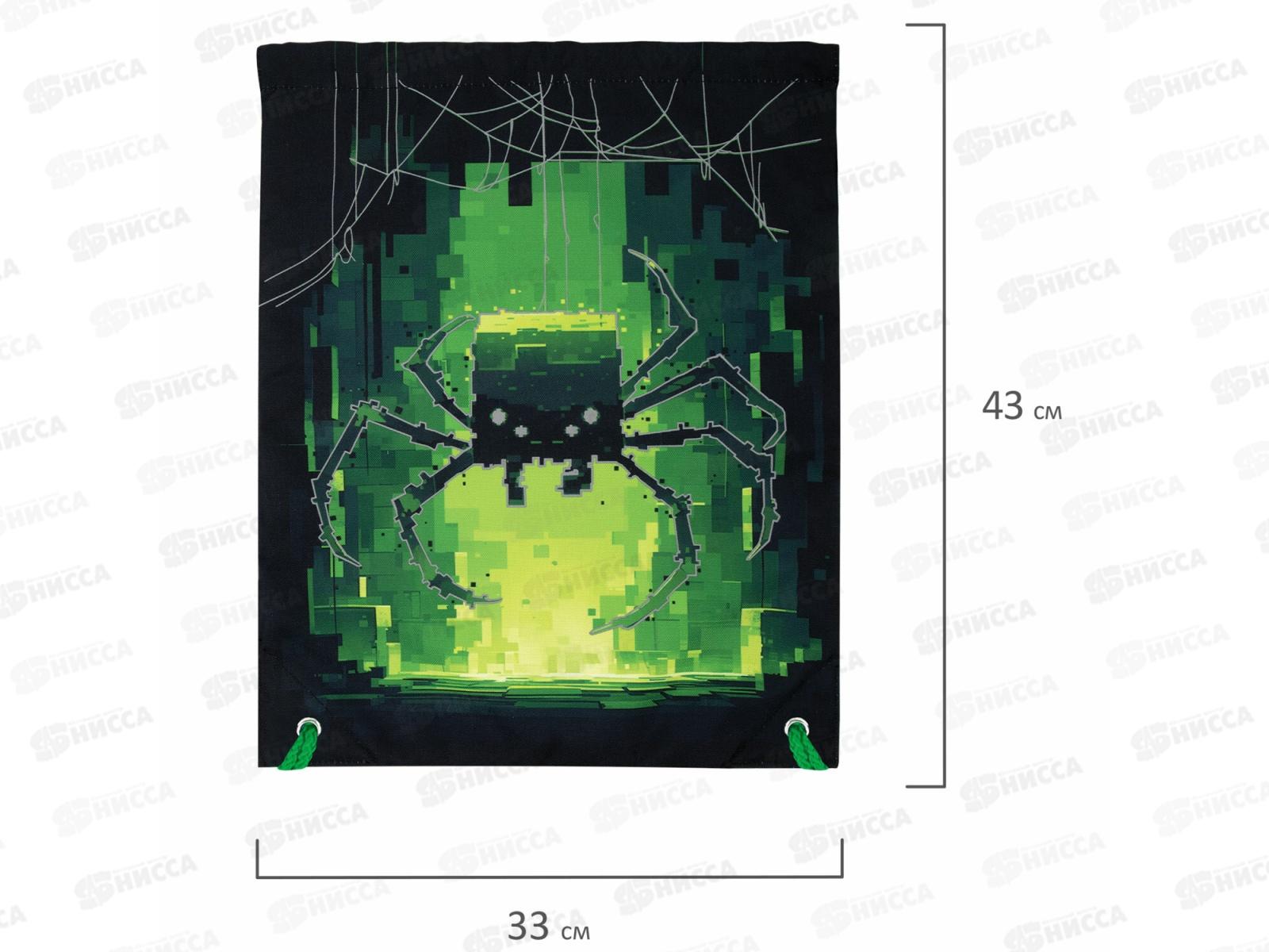 Мешок д/обуви BRAU Premium Digital sprider 42*33см, 273444 *5