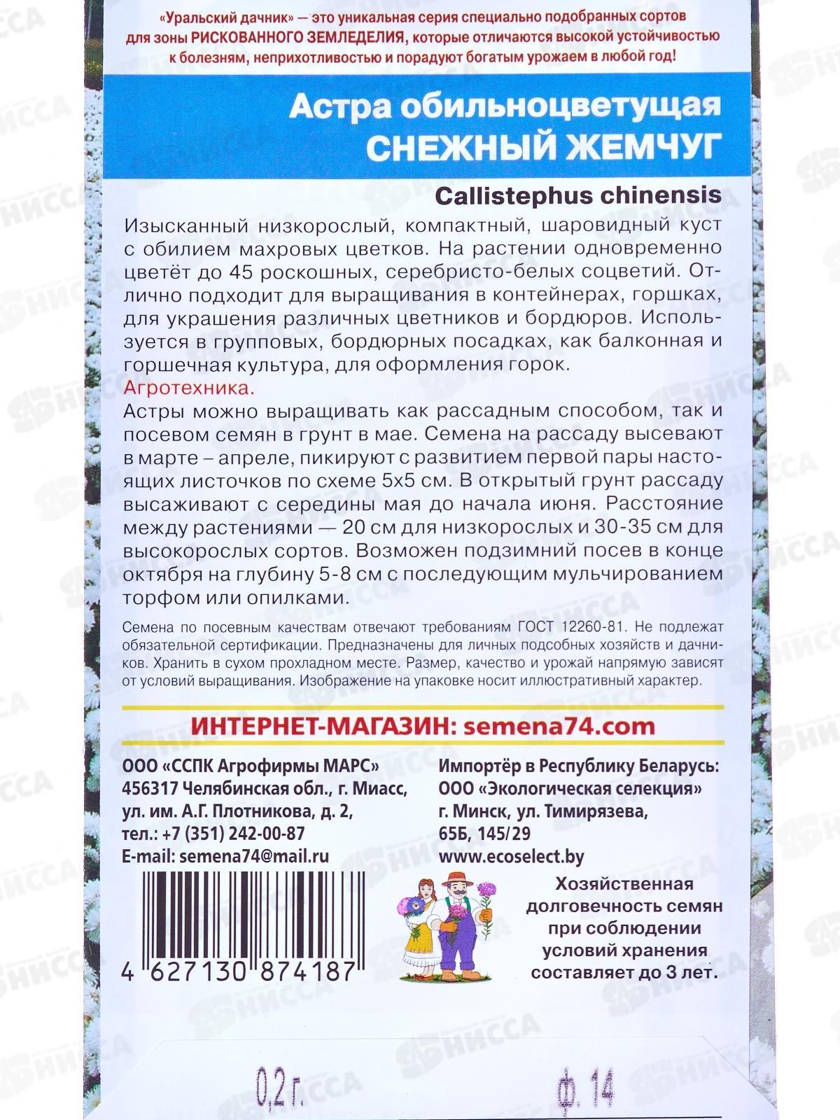 Астра Снежный жемчуг обильноцветковая Евро *10 УрД