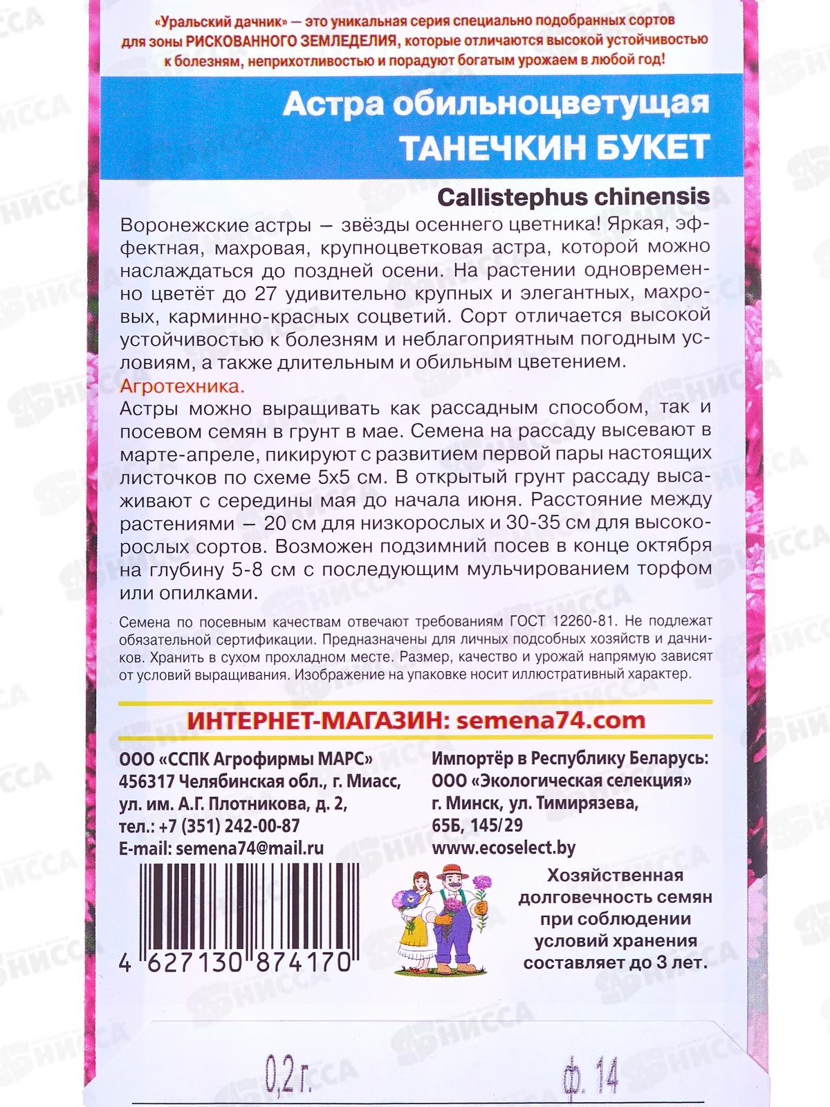 Астра Танечкин букет обильноцветковая Евро *10 УрД