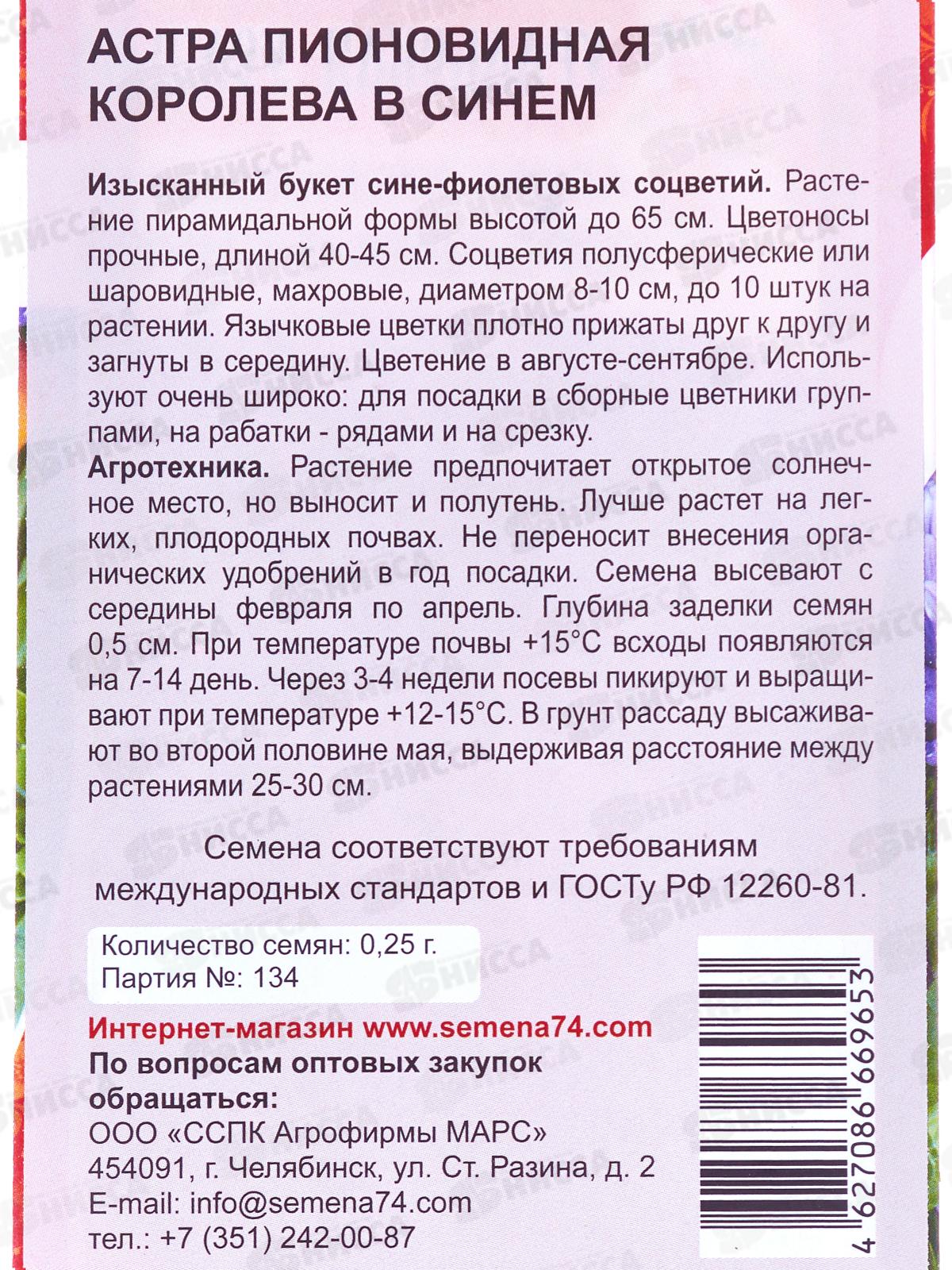 Астра Королева в синем  Евро УУ *10 УрД