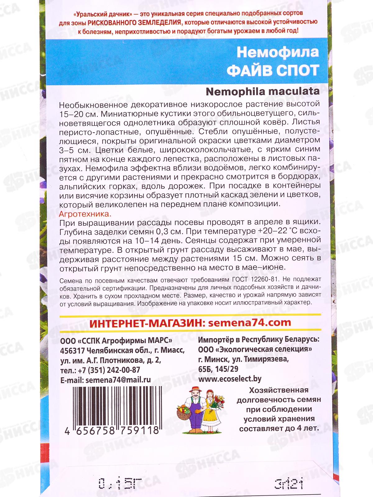 Немофила Файв спот Евро *10 УрД +