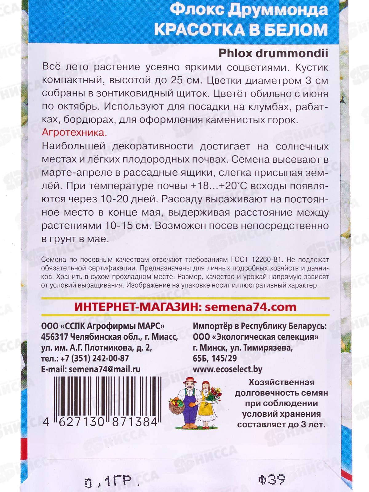 Флокс друммонда Красотка в белом Евро *10 УрД +