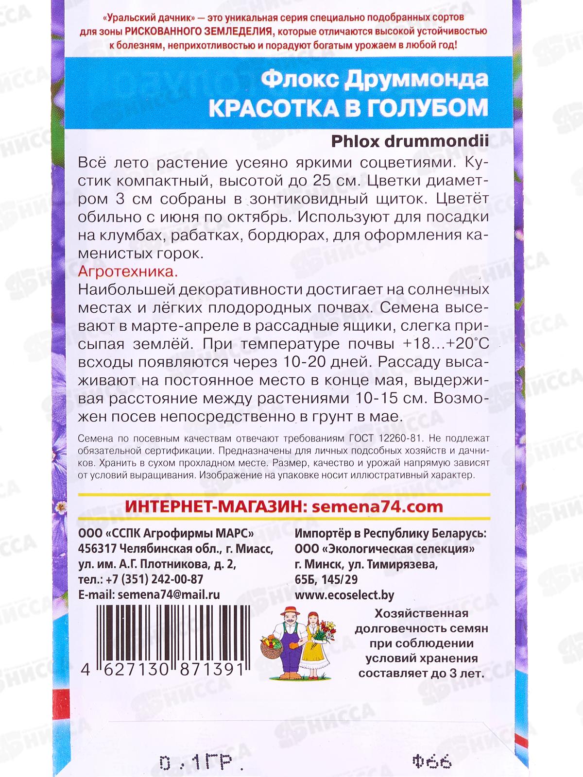 Флокс друммонда Красотка в голубом Евро *10 УрД
