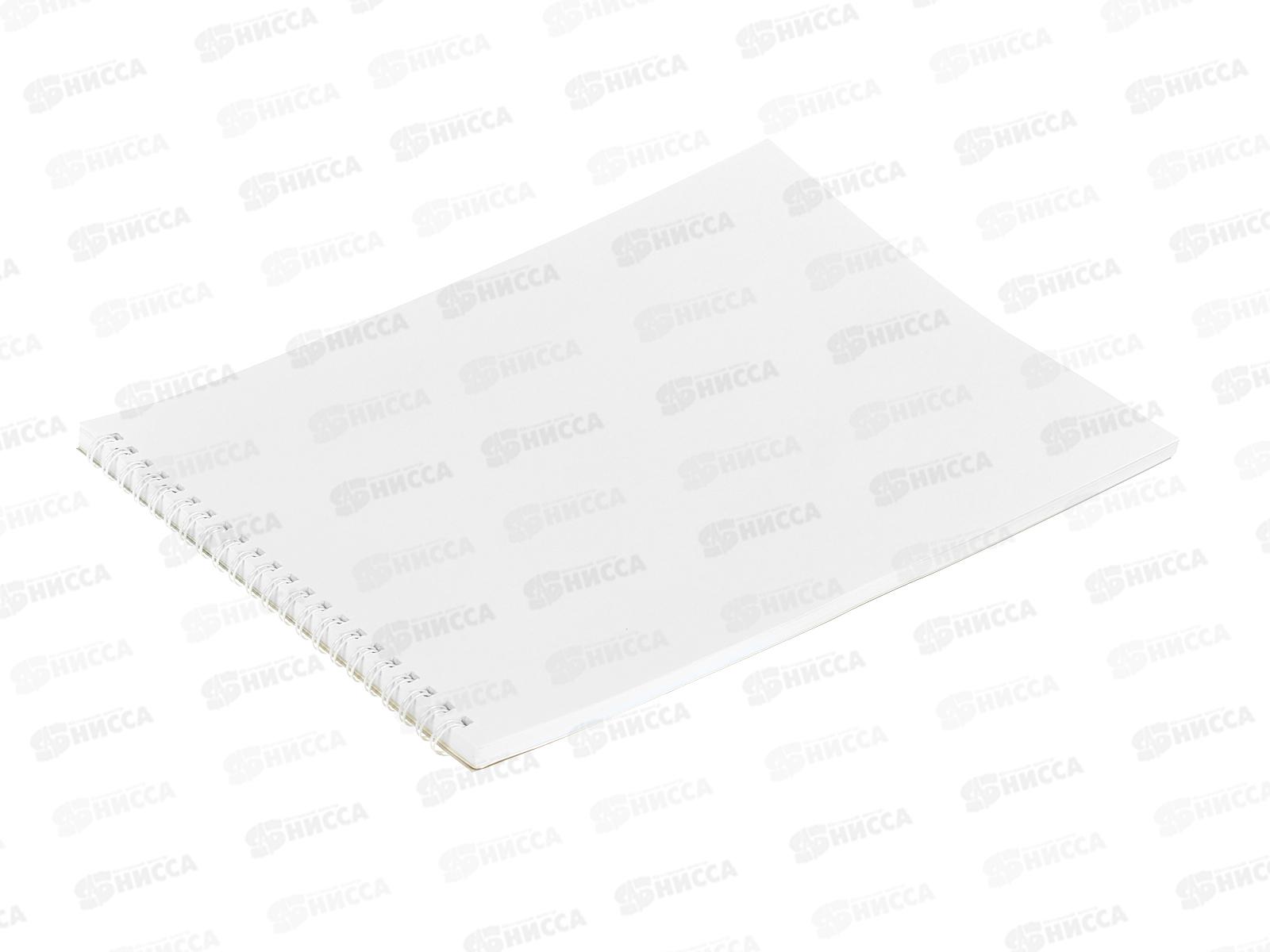 Альбом д/рис.40л ЭКСМ Рысь. мел.картон греб.  АС402483 *20