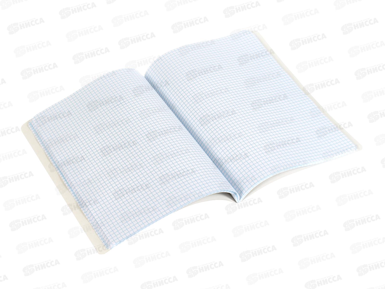 Тетрадь 80л кл. ЭКСМ А4 Shine. Дизайн 7 ТГ4804983 *5/30