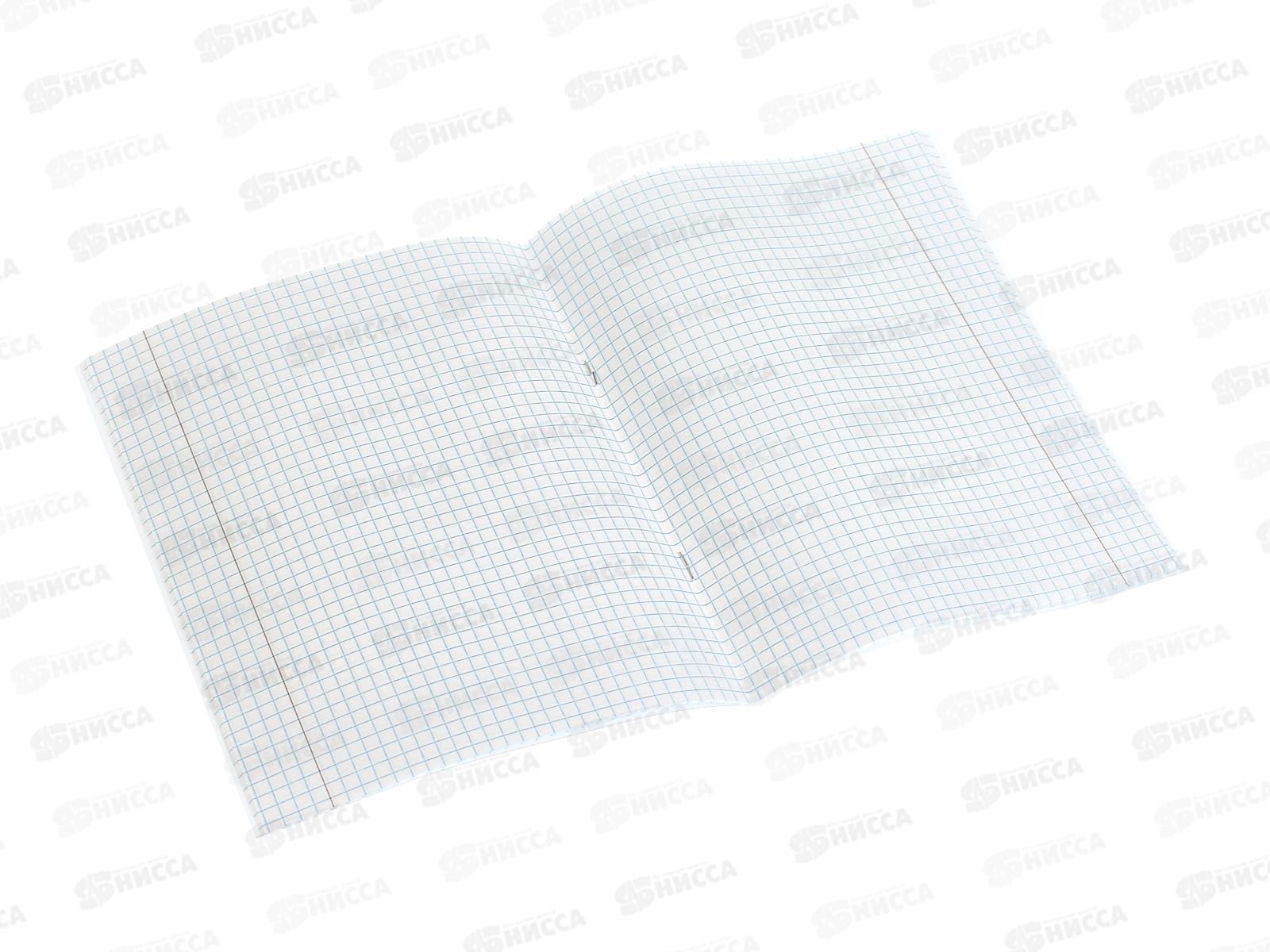 Тетрадь 12л кл. ЭКСМ Однотонная синяя, 1 вид ТК123969 *100