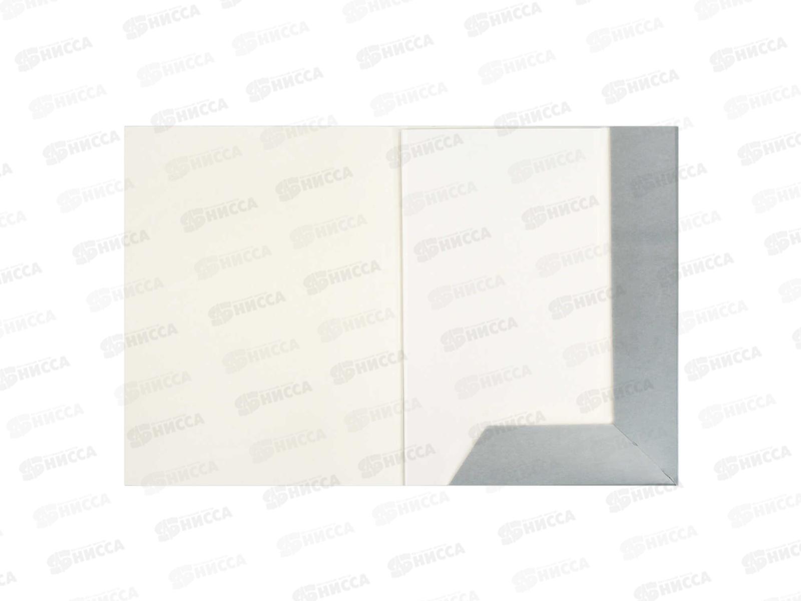 Картон Белый А4 ФЕН  8л Крутой панда, мелов.69923 *40