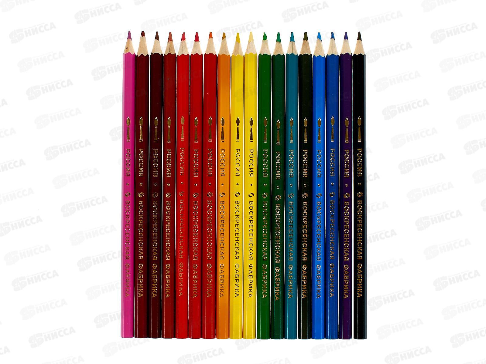 Карандаши 18цв &quotМишка&quot акварельные, заточенные WCP-9018*4/24