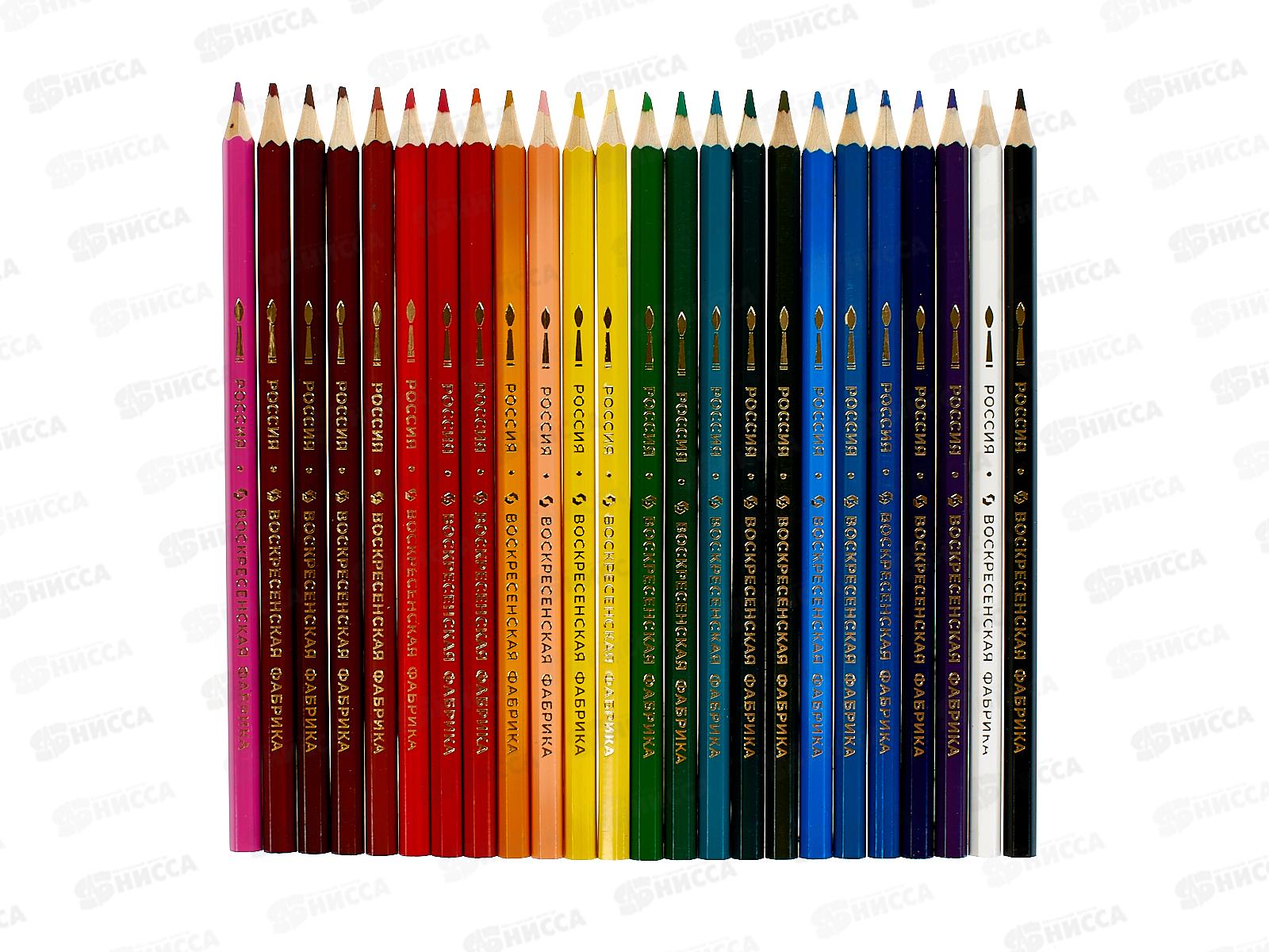 Карандаши 24цв &quotМишка&quot акварельные, заточенные WCP-9024*4/24