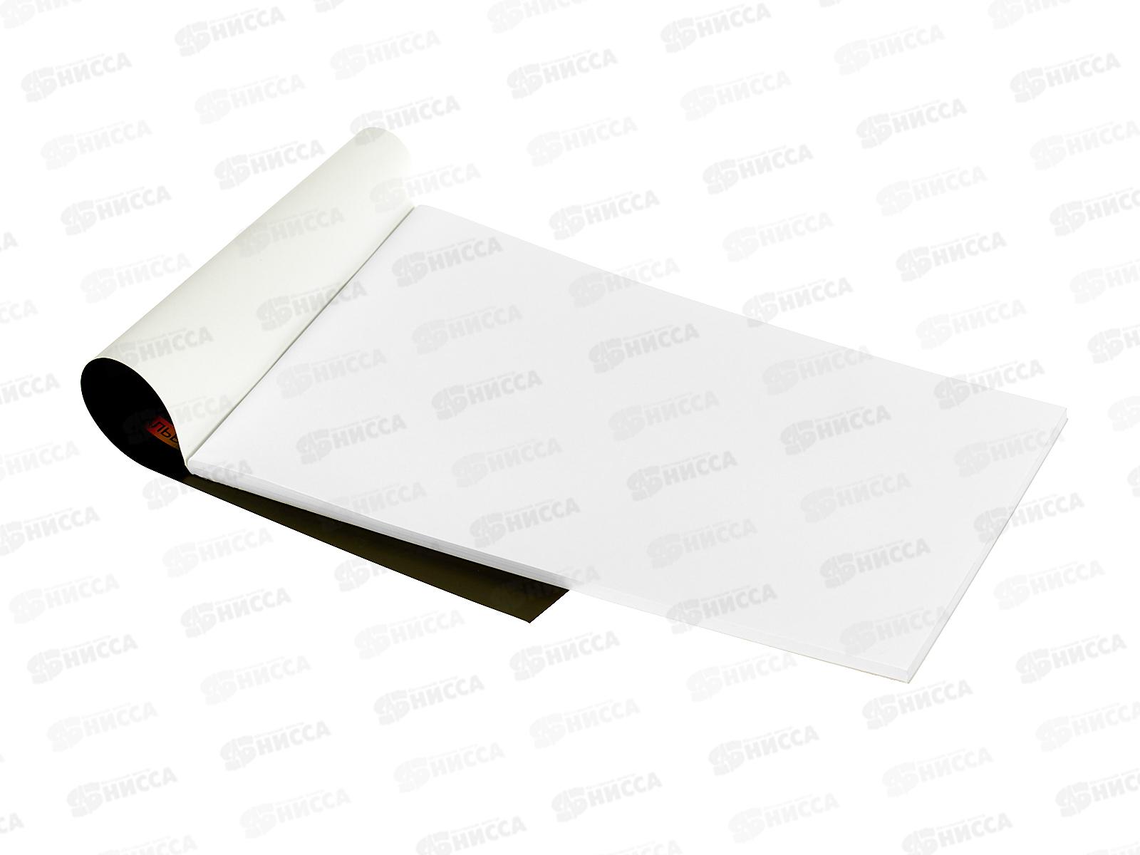 Альбом д/рис.48л SVETOCH Магия дикой природы, 000267  *5/25