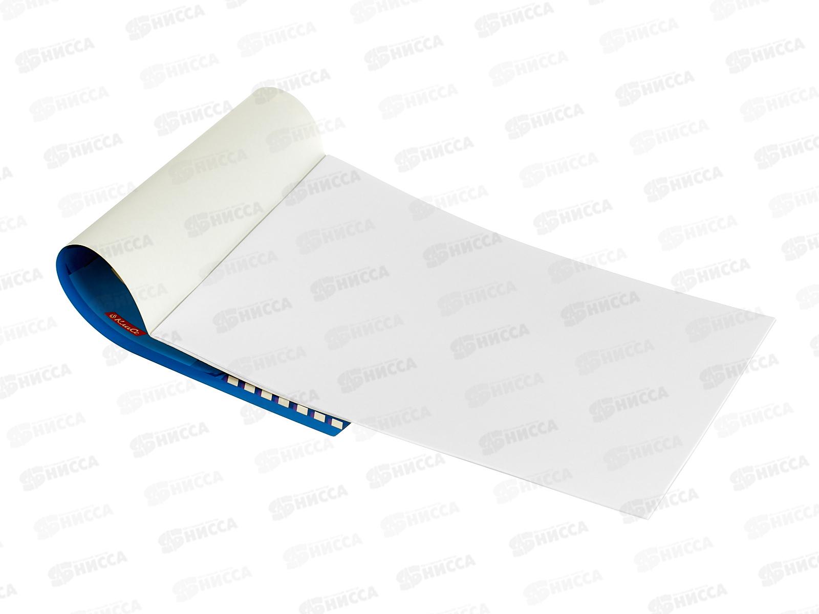 Альбом для рисования 16л SVETOCH Скейт-драйв, 000696  *10