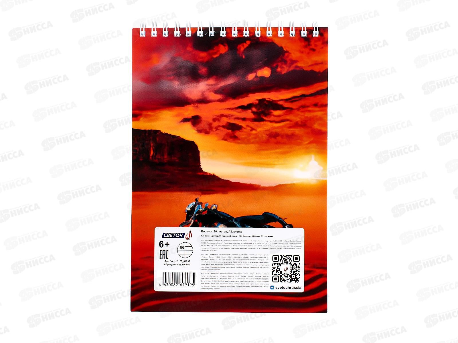 Блокнот 80л Светоч А5 Прогулки под луной, клетка, гребень, 01237  *4