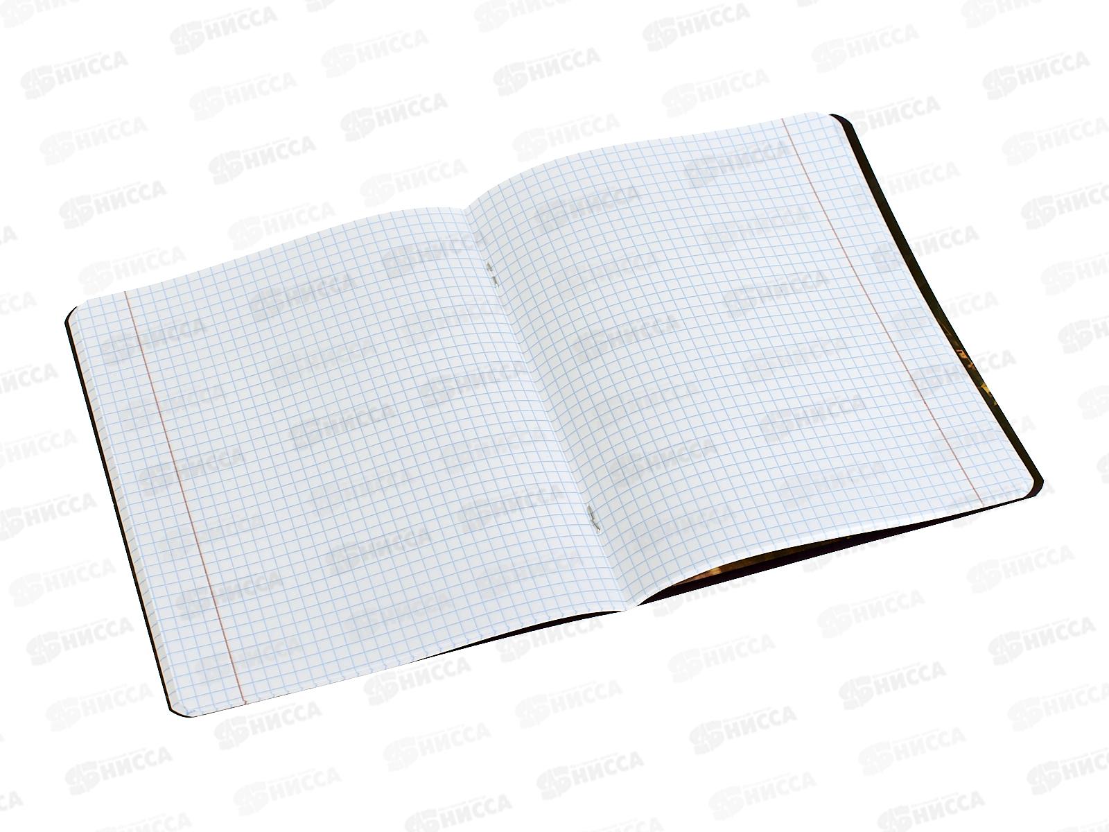 Тетрадь 48л кл. BG &quotМир будущего&quot Английский язык, 56344 *10/60