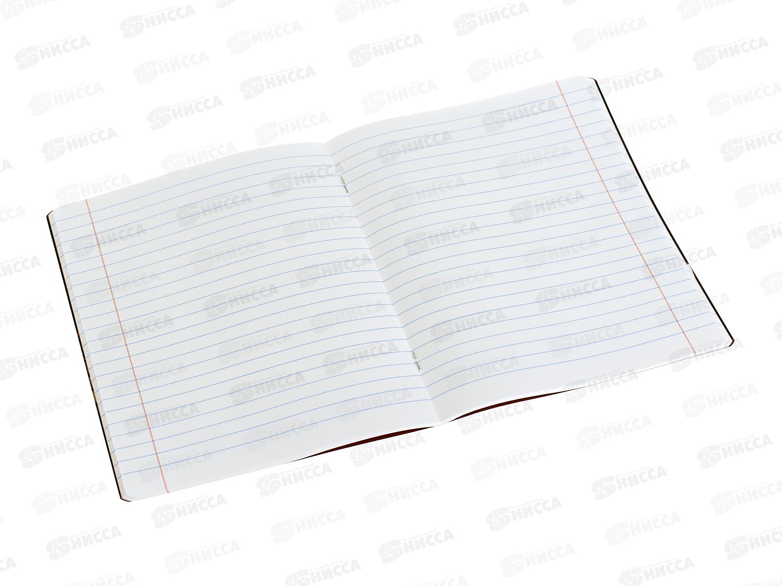 Тетрадь 48л лин. BG &quotМир будущего&quot Литература, 56340 *10/60