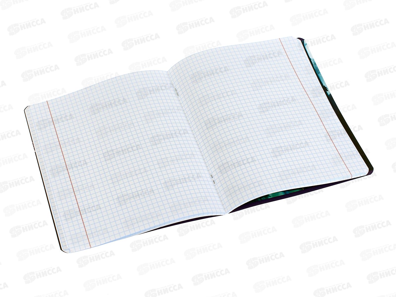 Тетрадь 48л кл. BG &quotМир будущего&quot Химия, 56330 *10/60