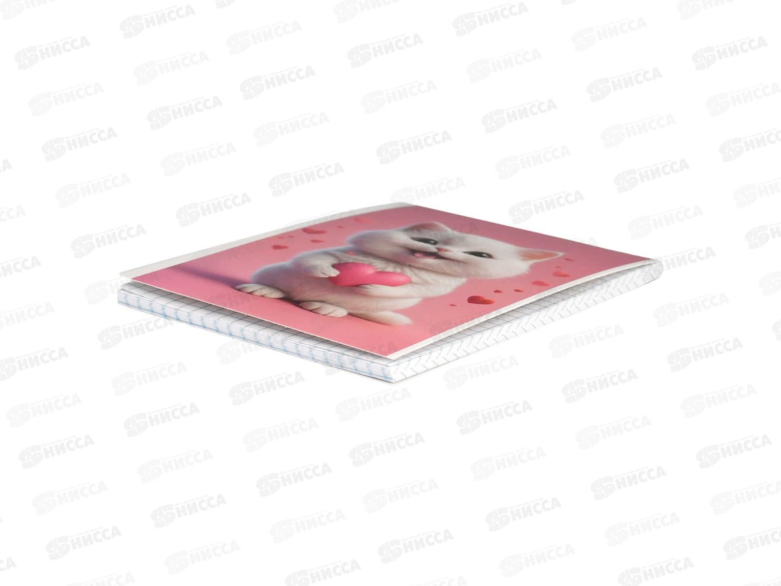 Блокнот 40л ФЕН А6 Котенок с сердечком,  69589 *5/80