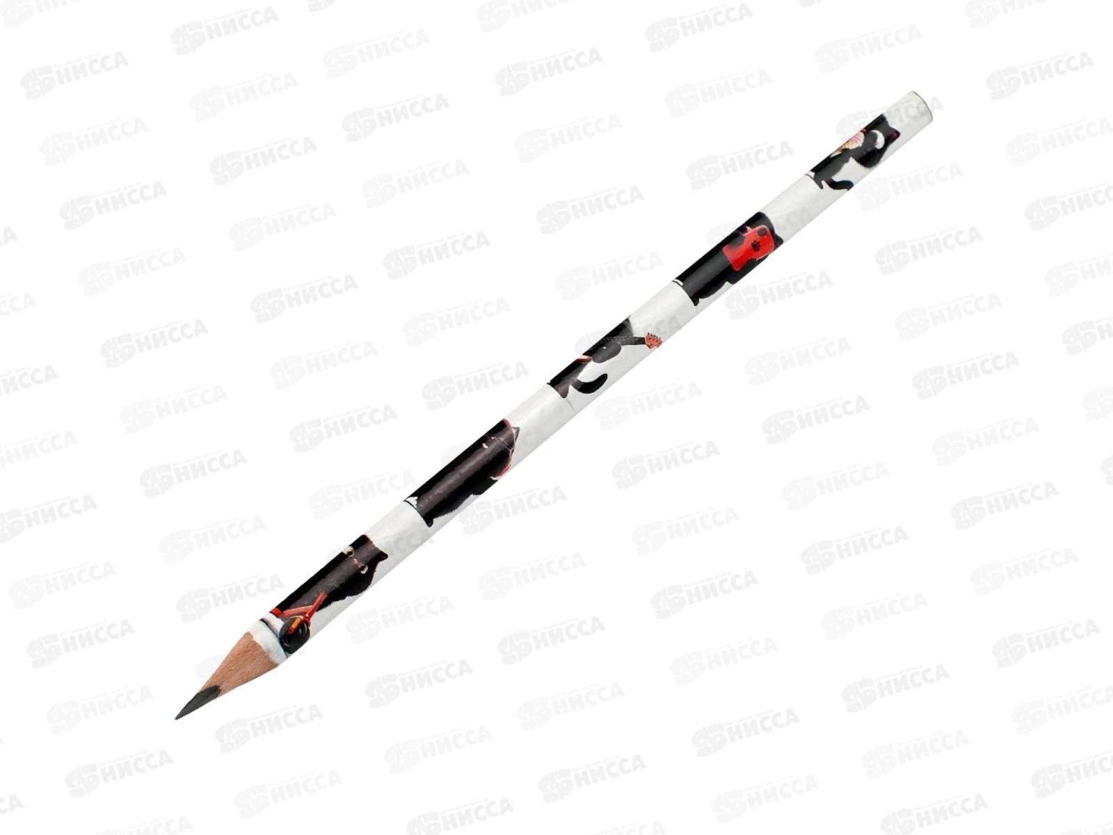 Карандаш ч/г ФЕН Черный кот  НВ трехгр. светл. дерево, 70173 *36