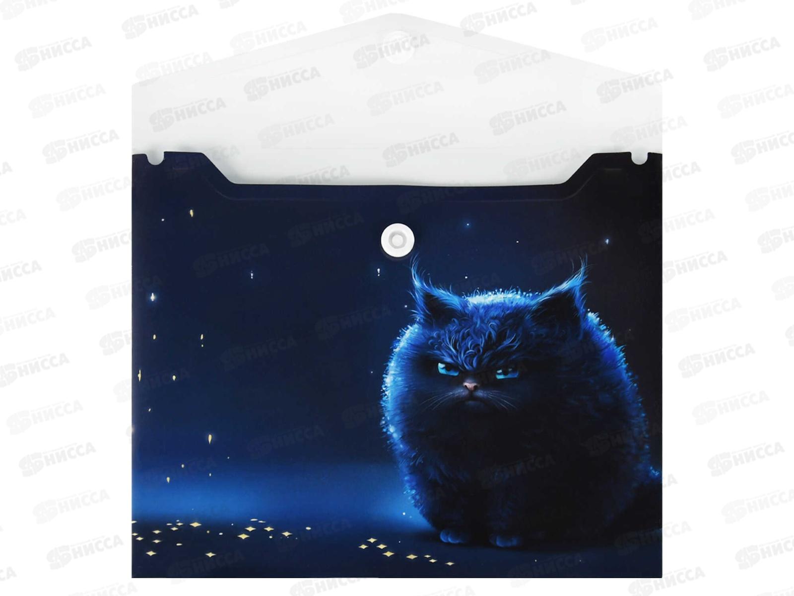 Папка д/документов ФЕН 17*14, Ночное облако, с кноп., 69033 *12