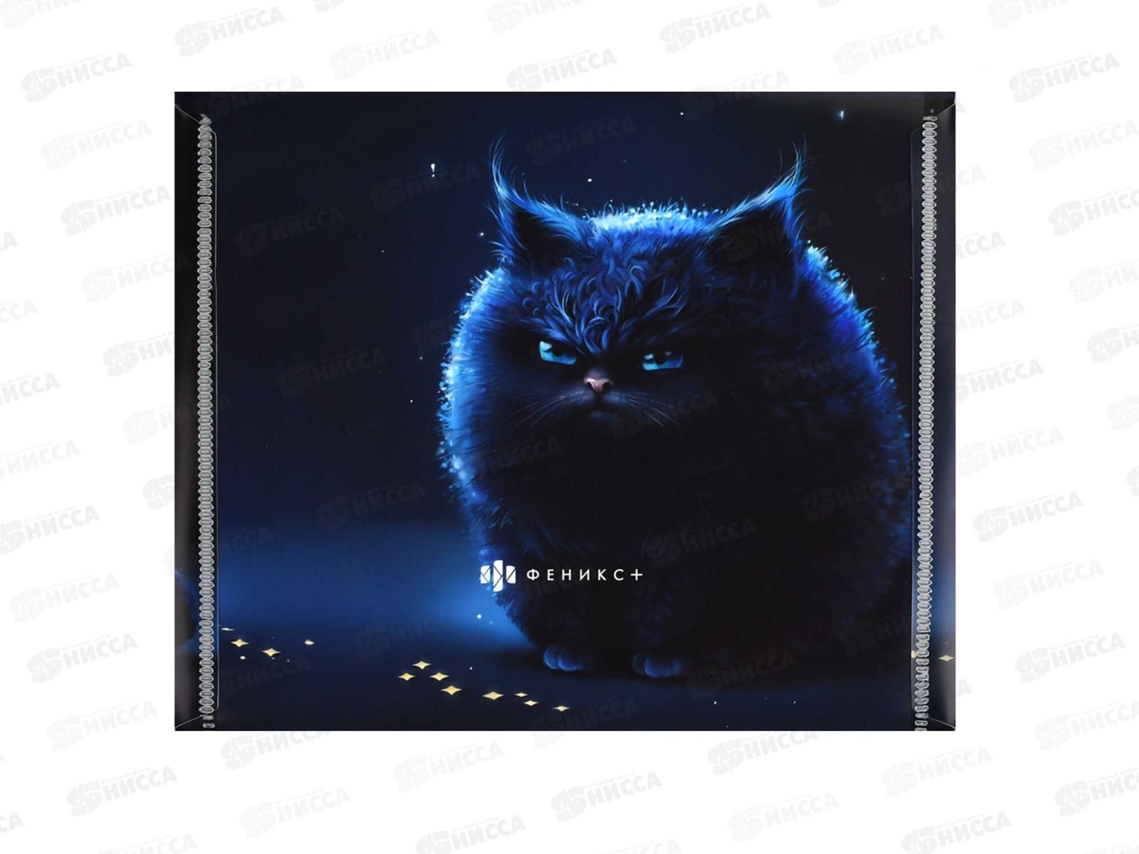 Папка д/документов ФЕН 17*14, Ночное облако, с кноп., 69033 *12