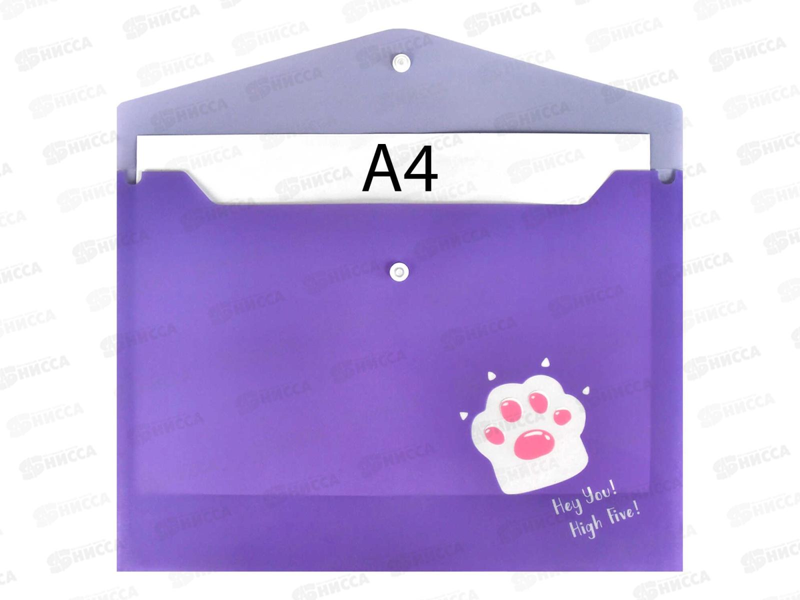 Папка д/тетр. ФЕН А4 Кошачья лапка 1 отд. 69050 *12