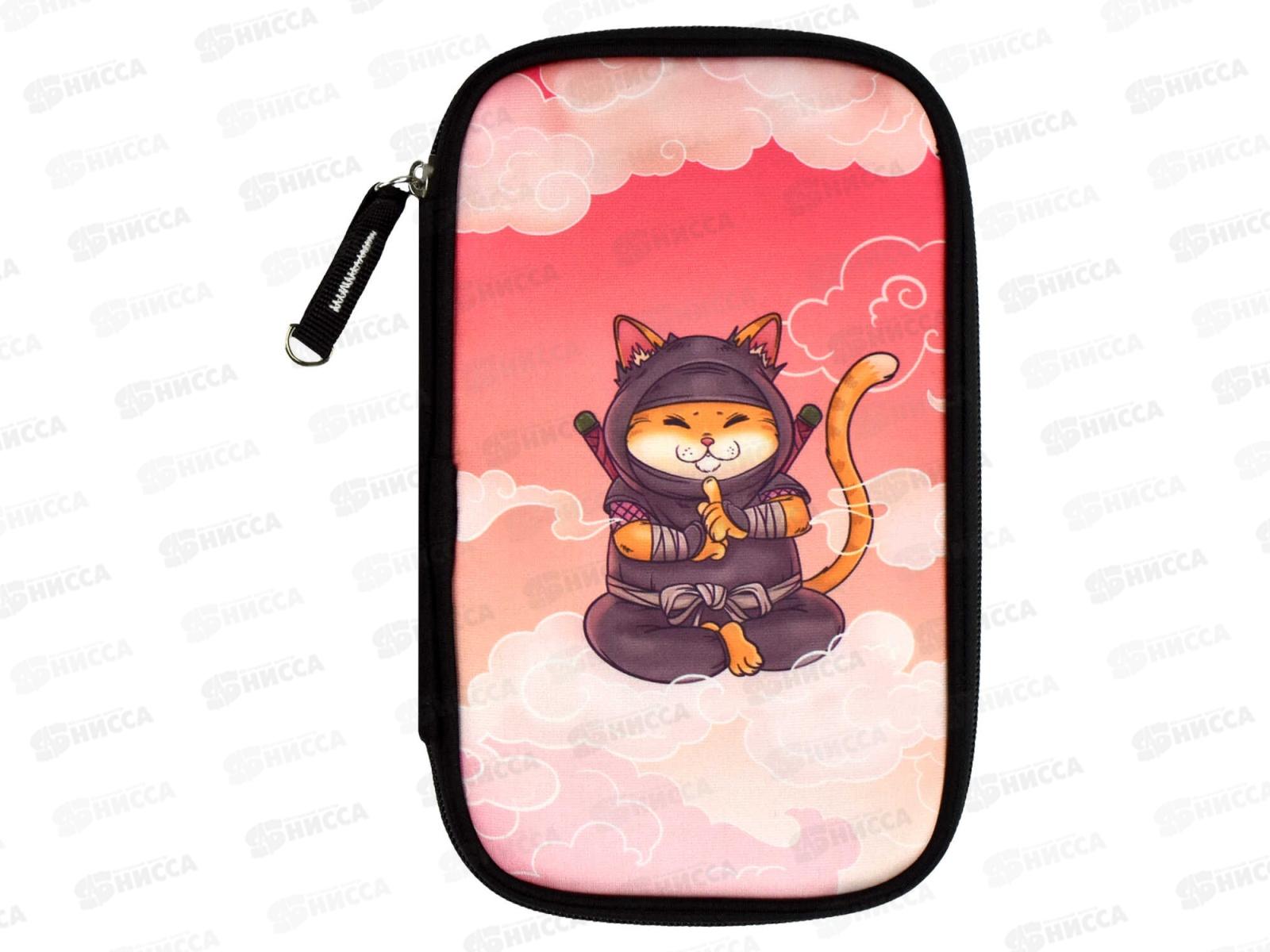 Пенал ФЕН Медитация на облаке 13,3*21*2,5 молния  65503 *24