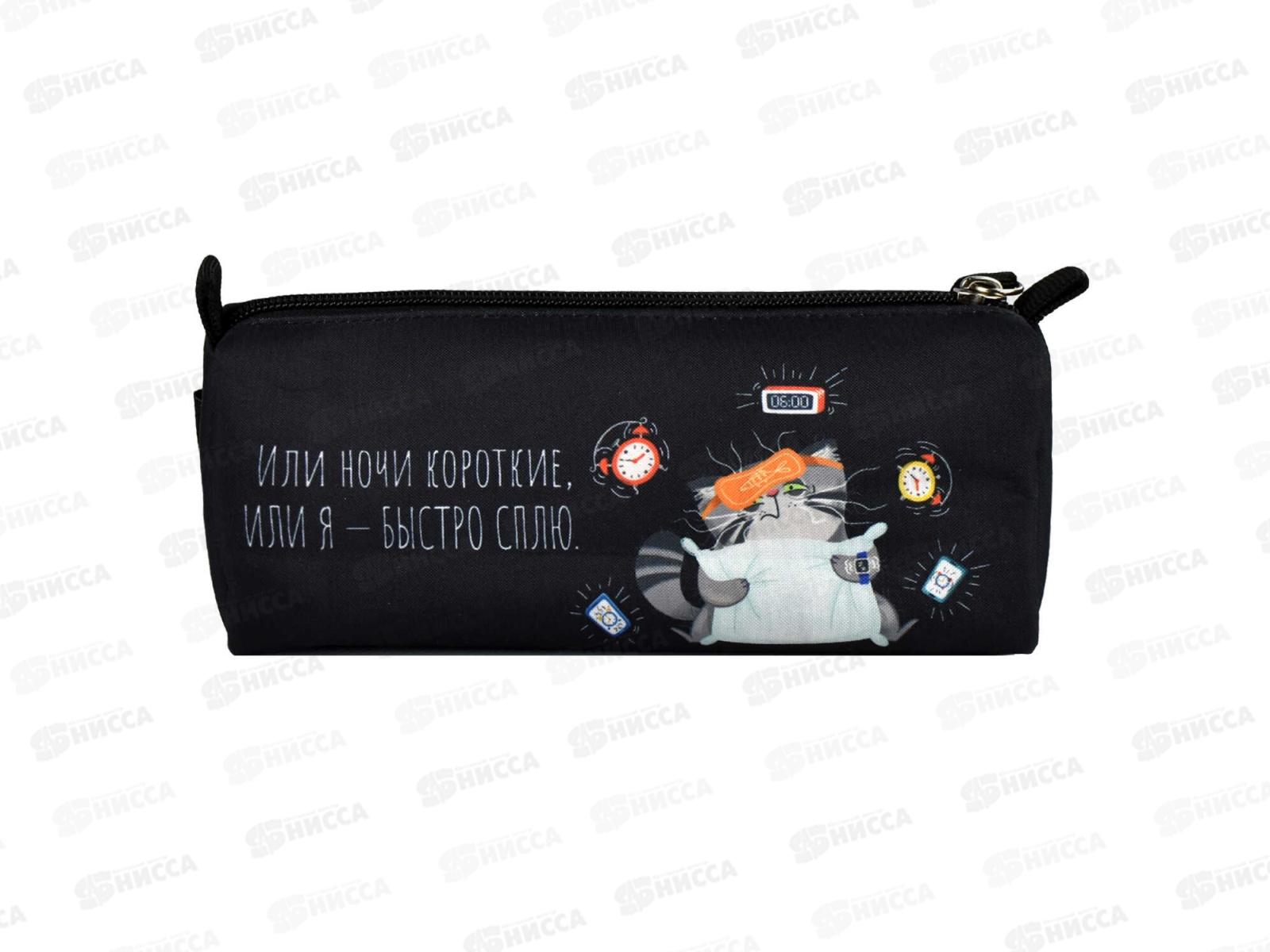 Пенал ФЕН Серый кот, 20*8,5*6,5см, молн., 68424 *36