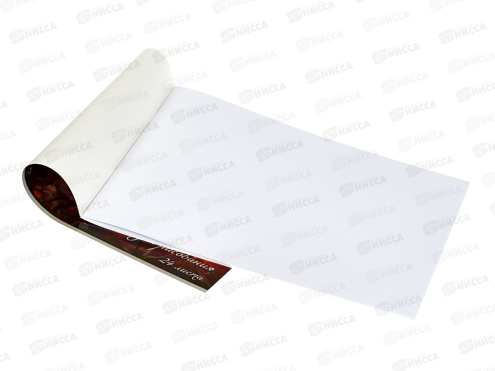 Альбом д/рис. 24л  Alingar Цветы, AL13155 *56