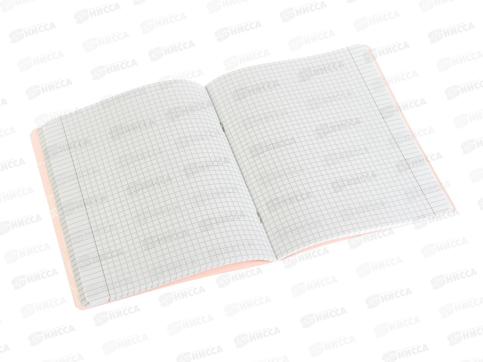 Тетрадь 48л кл. АЛЬТ &quotTutti fruiti&quot  7-48-1270*10/60