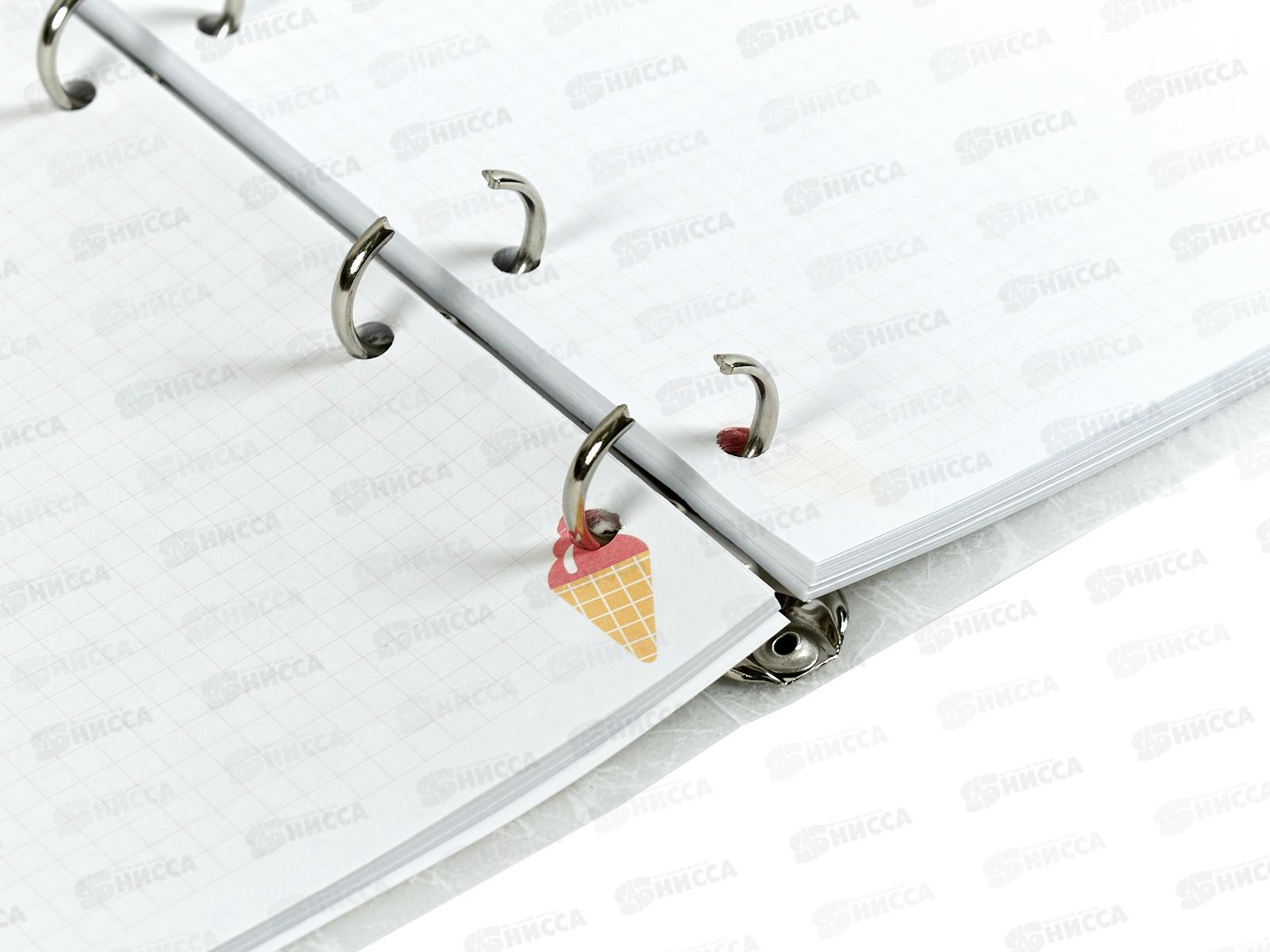 Тетрадь 80л кл. АЛЬТ Мороженое, на кольцах 7-80-633/04 *16