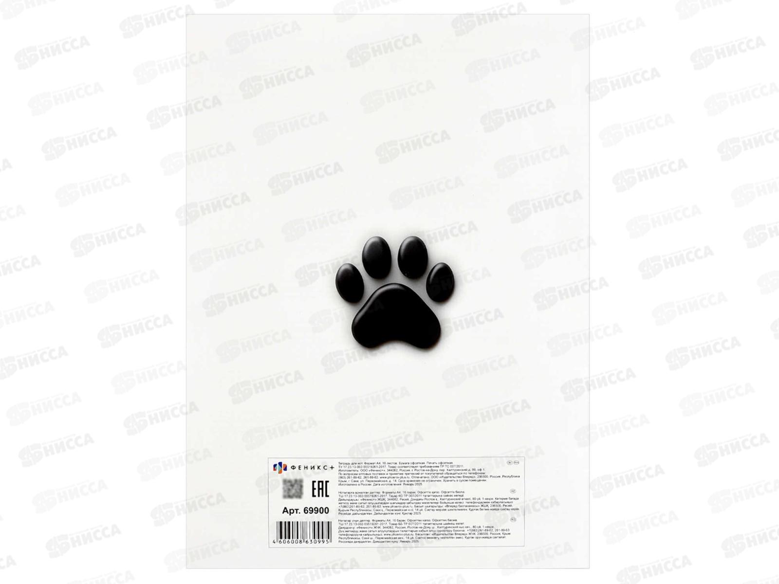 Тетрадь нотн. 16л ФЕН Котенок с гитарой, 69900 *50