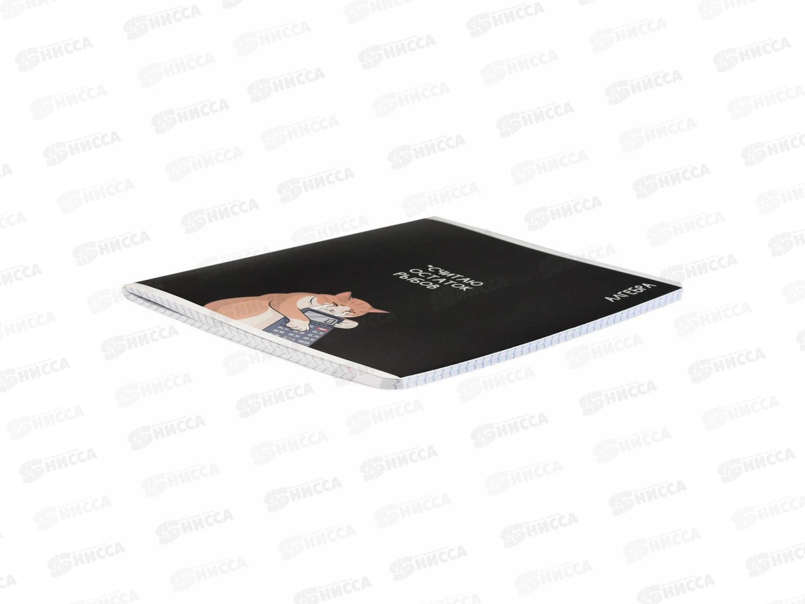 Тетрадь 48л кл. ФЕН Коты мемы. Алгебра, 69820  *16/48