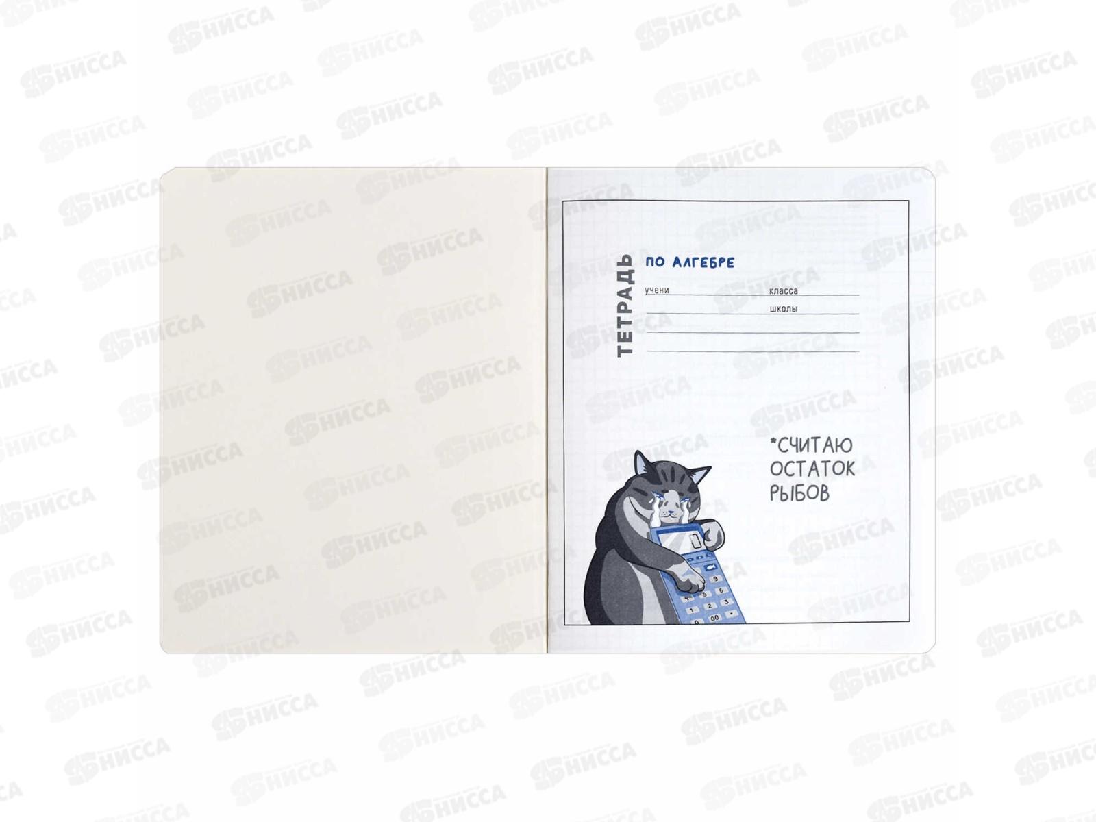 Тетрадь 48л кл. ФЕН Коты мемы. Алгебра, 69820  *16/48