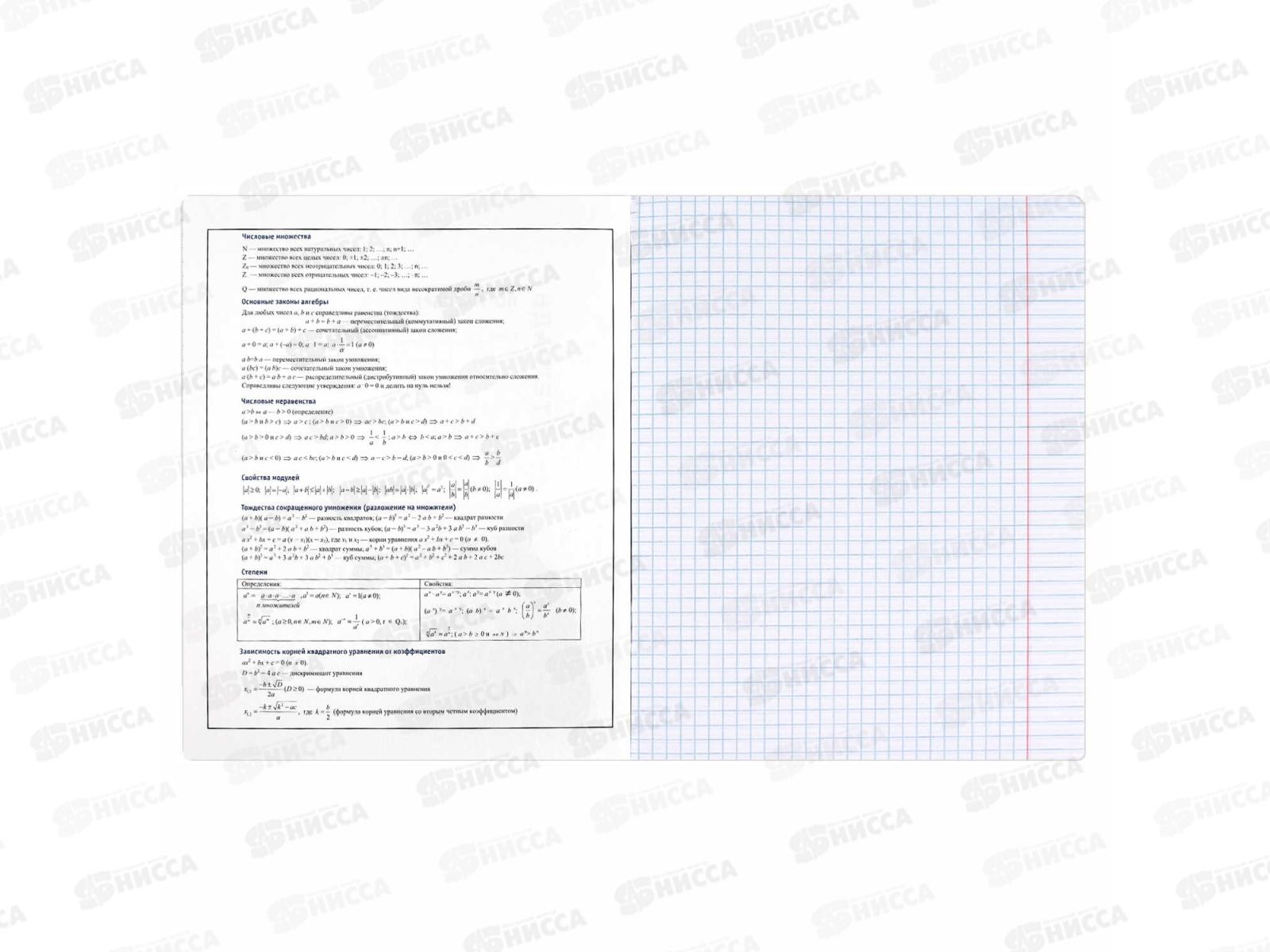 Тетрадь 48л кл. ФЕН Коты мемы. Алгебра, 69820  *16/48