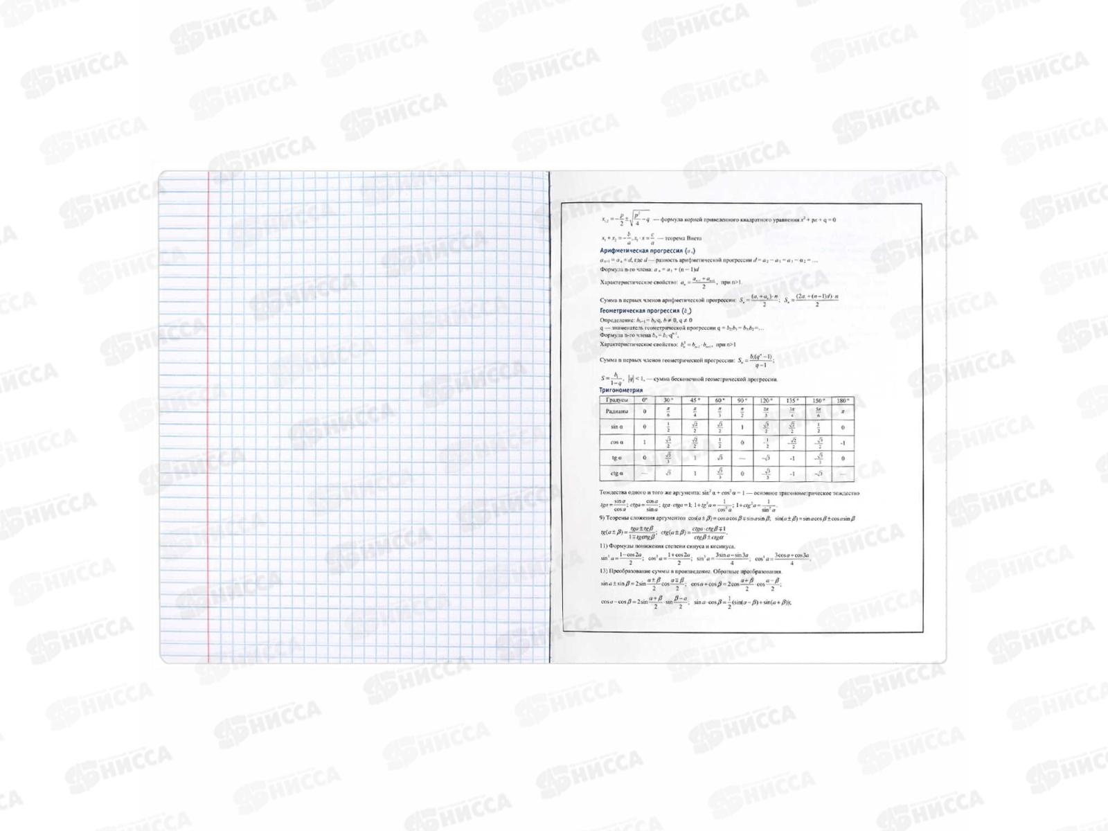 Тетрадь 48л кл. ФЕН Коты мемы. Алгебра, 69820  *16/48