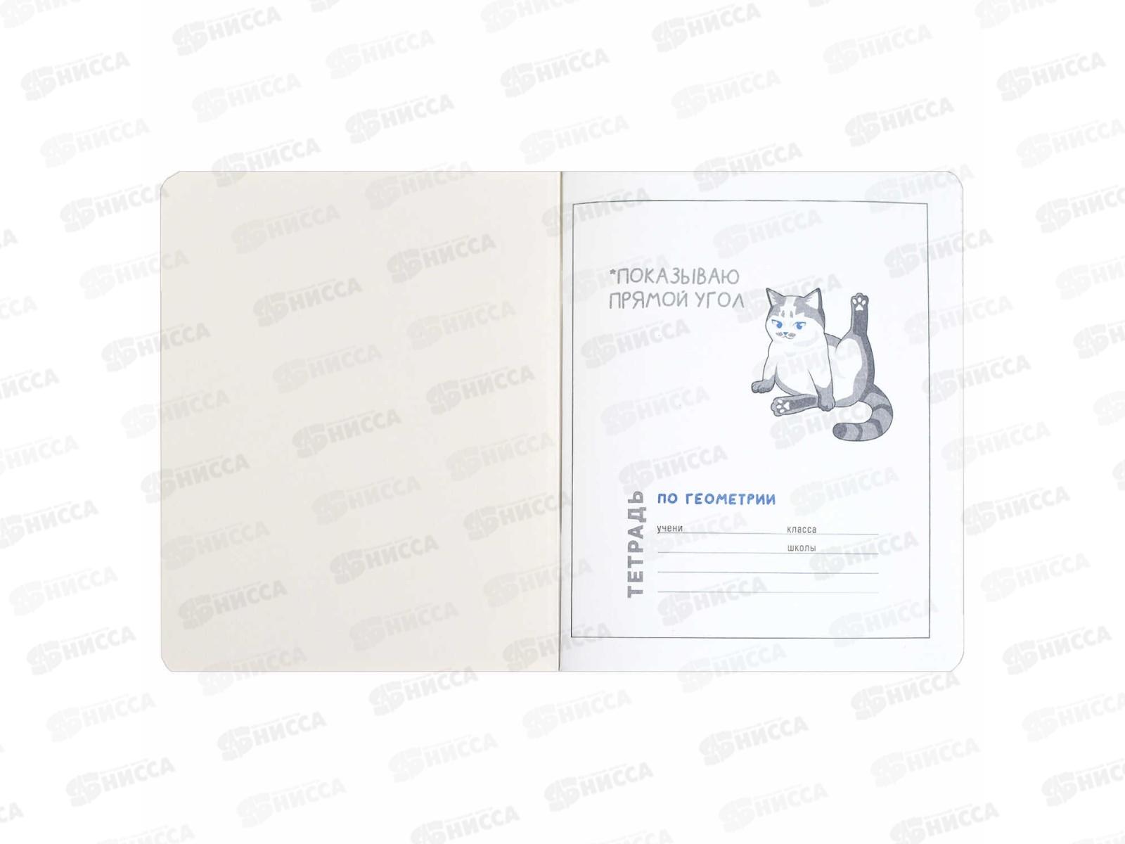 Тетрадь 48л кл. ФЕН Коты мемы. Геометрия, 69821  *16/48