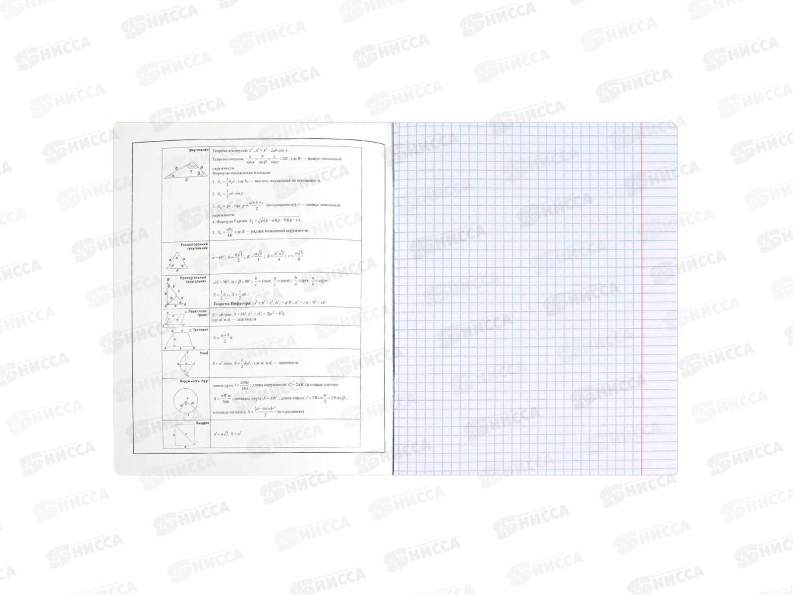 Тетрадь 48л кл. ФЕН Коты мемы. Геометрия, 69821  *16/48