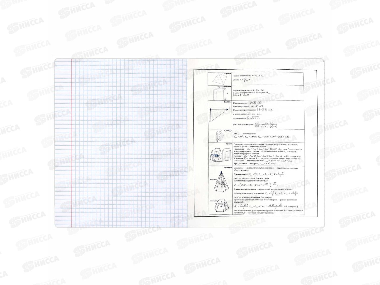 Тетрадь 48л кл. ФЕН Коты мемы. Геометрия, 69821  *16/48