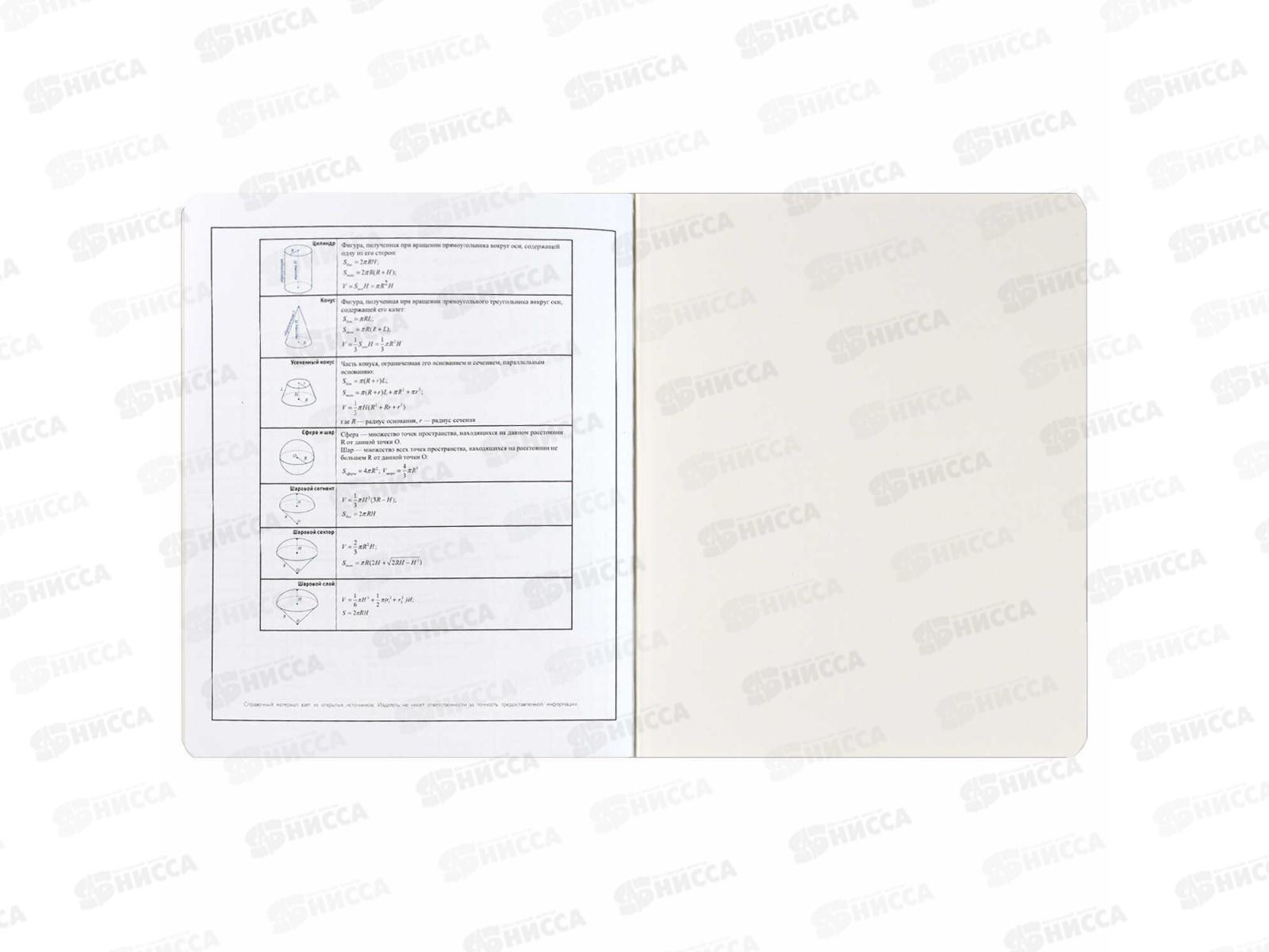 Тетрадь 48л кл. ФЕН Коты мемы. Геометрия, 69821  *16/48