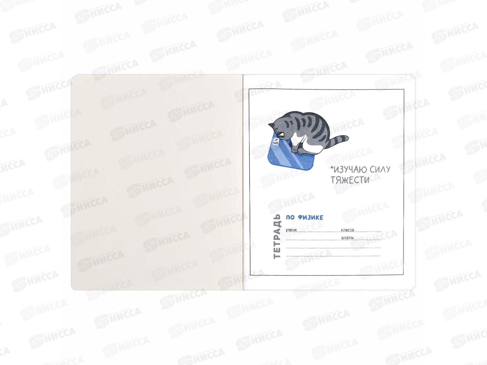 Тетрадь 48л кл. ФЕН Коты мемы. Физика, 69822  *16/48