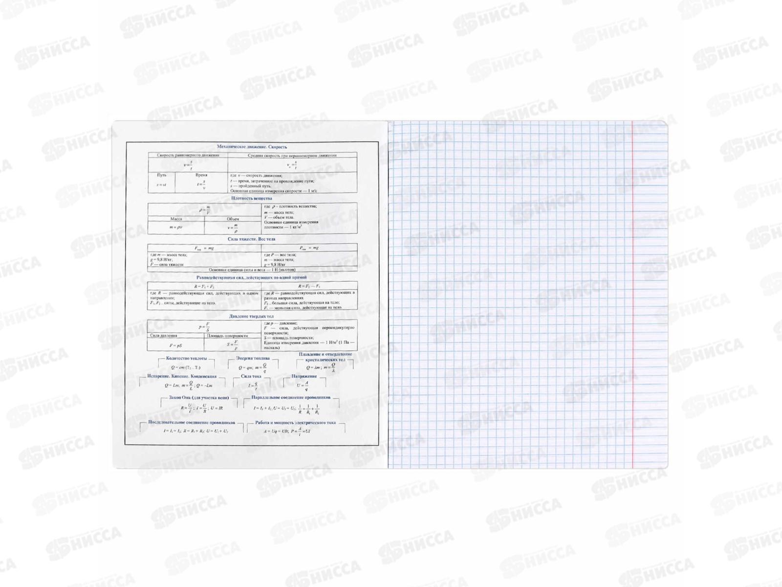 Тетрадь 48л кл. ФЕН Коты мемы. Физика, 69822  *16/48