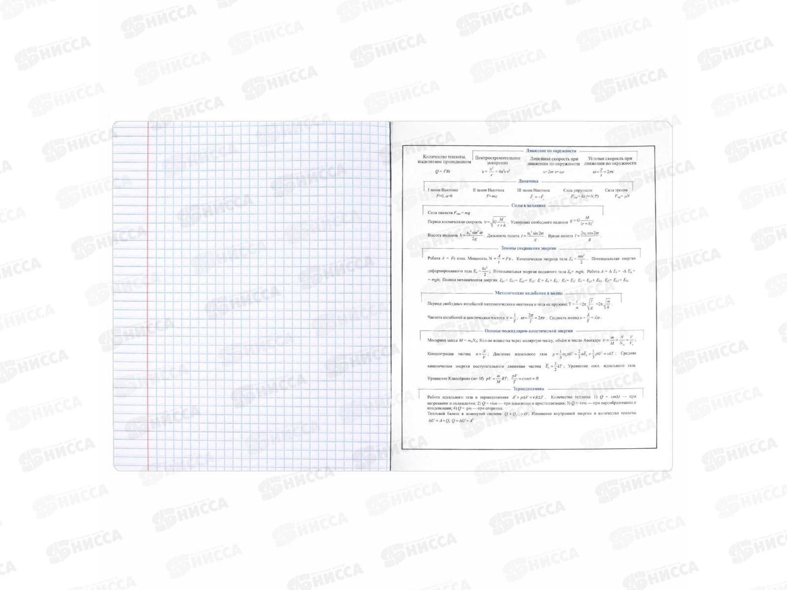 Тетрадь 48л кл. ФЕН Коты мемы. Физика, 69822  *16/48