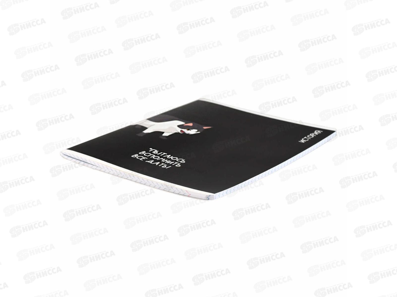 Тетрадь 48л кл. ФЕН Коты мемы. История, 69823  *16/48