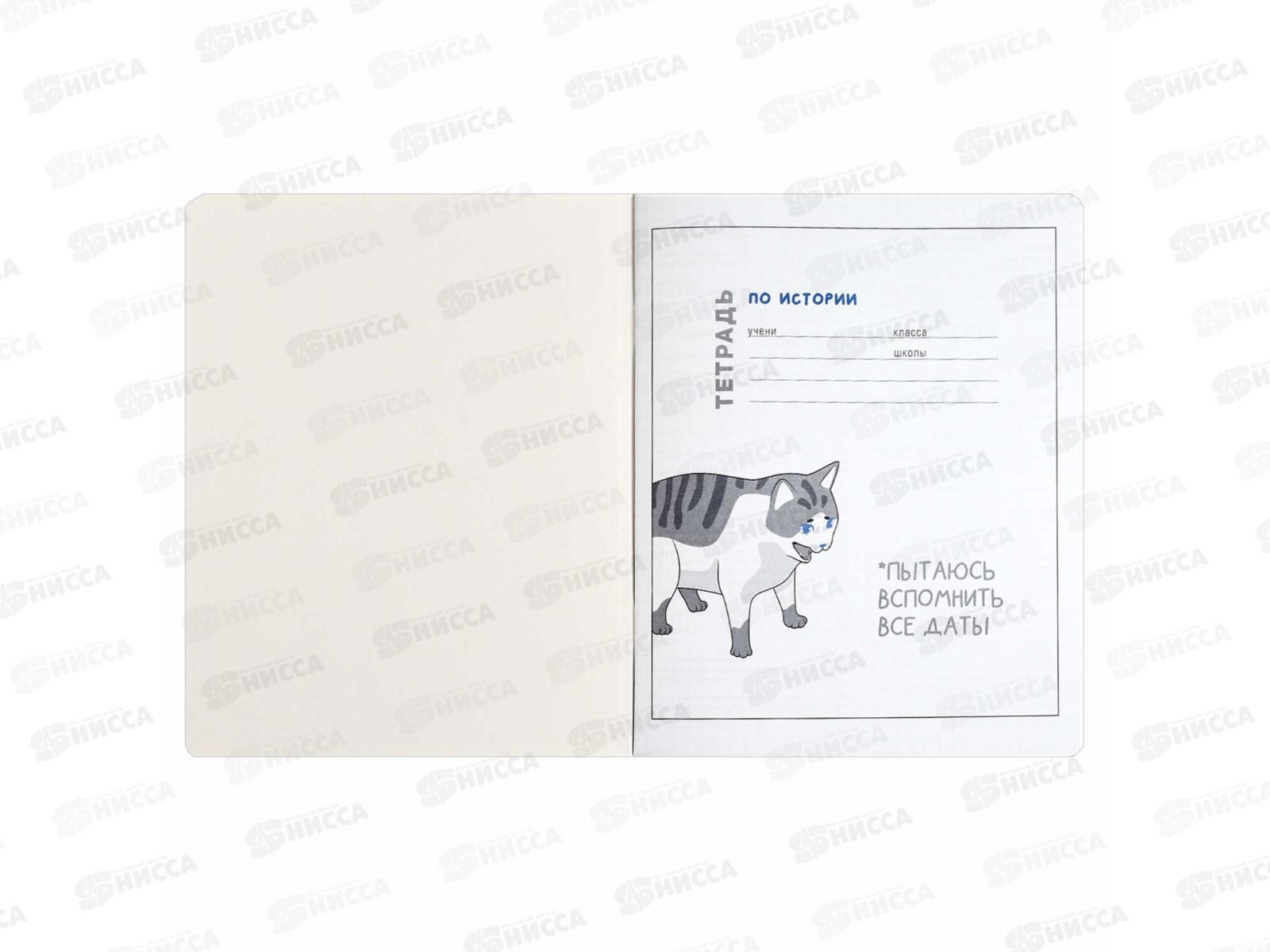 Тетрадь 48л кл. ФЕН Коты мемы. История, 69823  *16/48