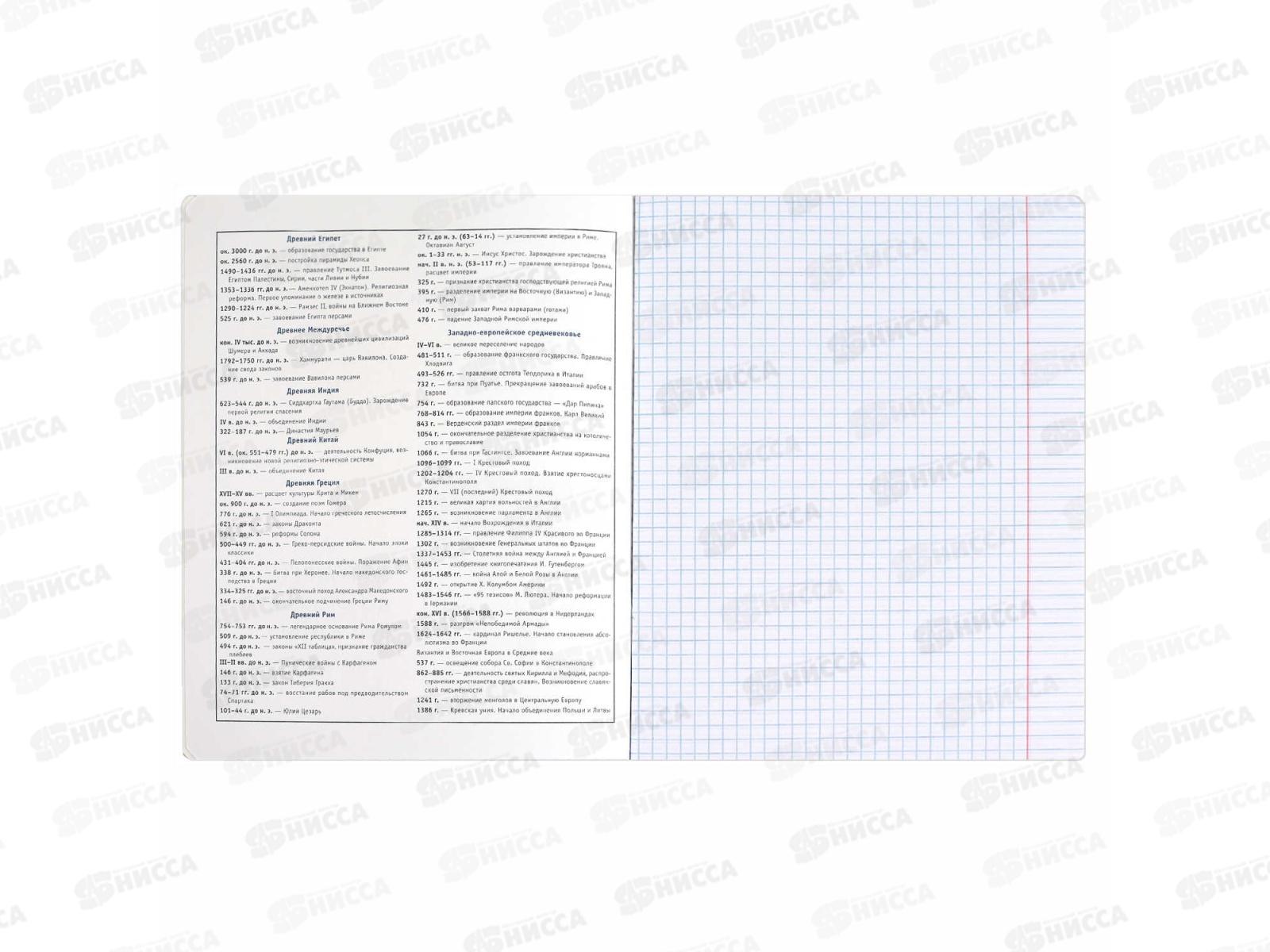 Тетрадь 48л кл. ФЕН Коты мемы. История, 69823  *16/48