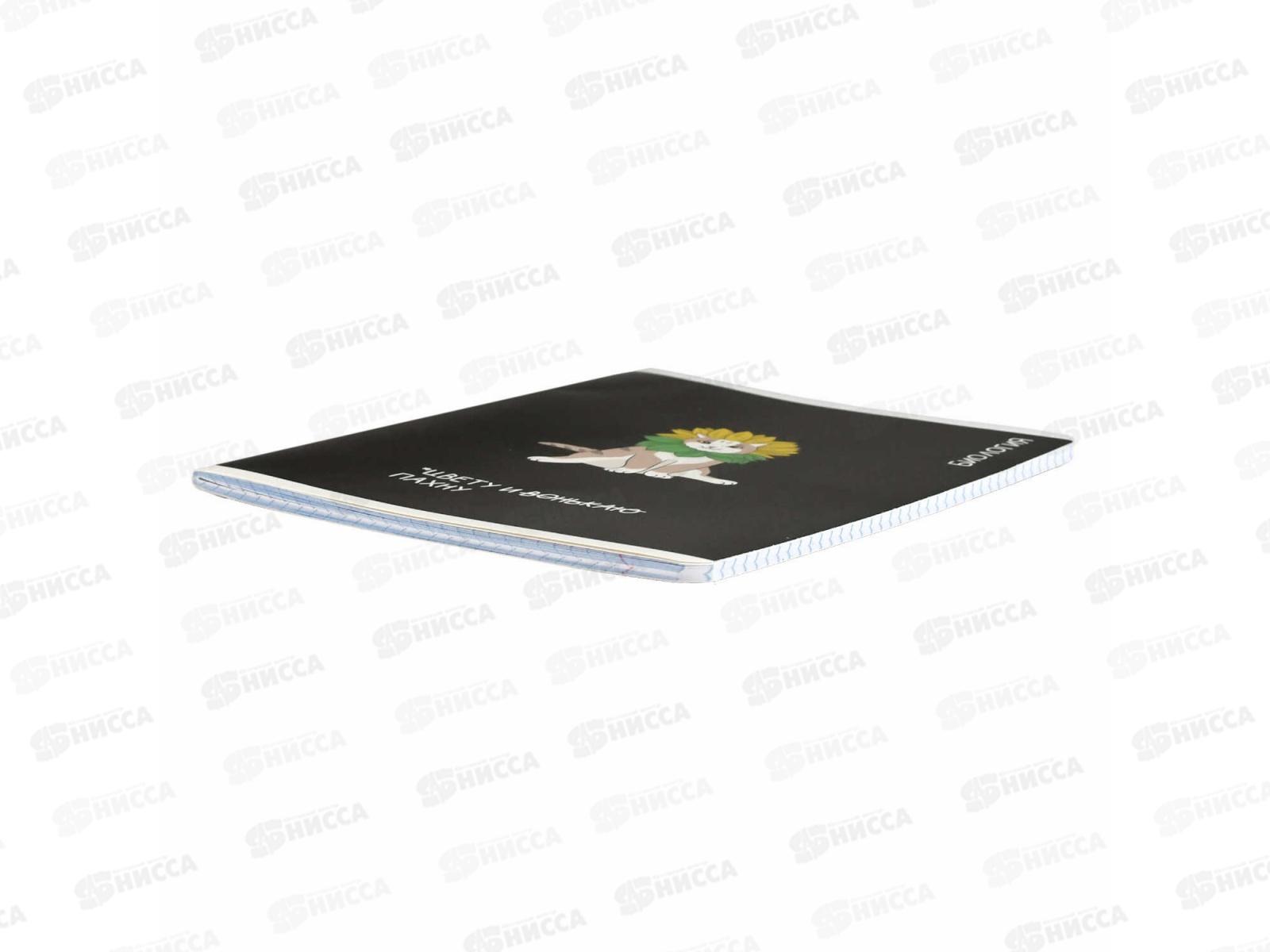 Тетрадь 48л кл. ФЕН Коты мемы. Биология, 69824  *16/48