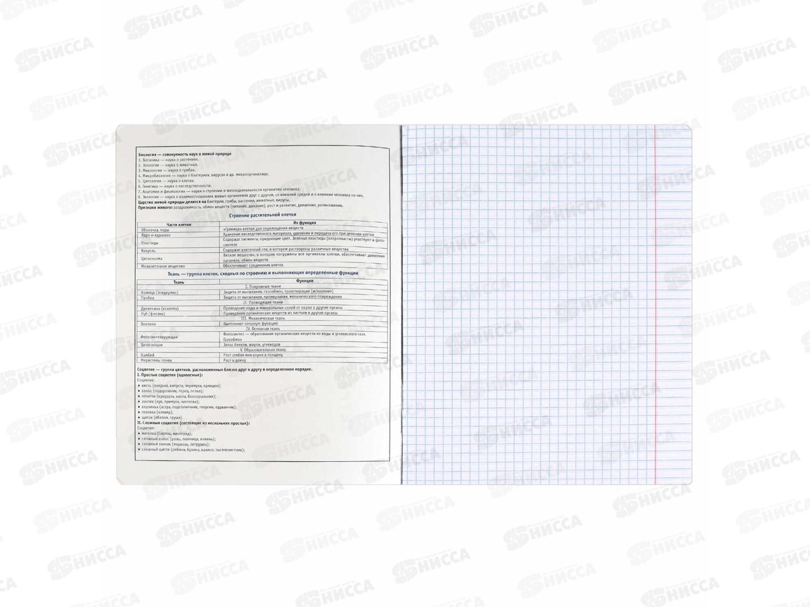 Тетрадь 48л кл. ФЕН Коты мемы. Биология, 69824  *16/48