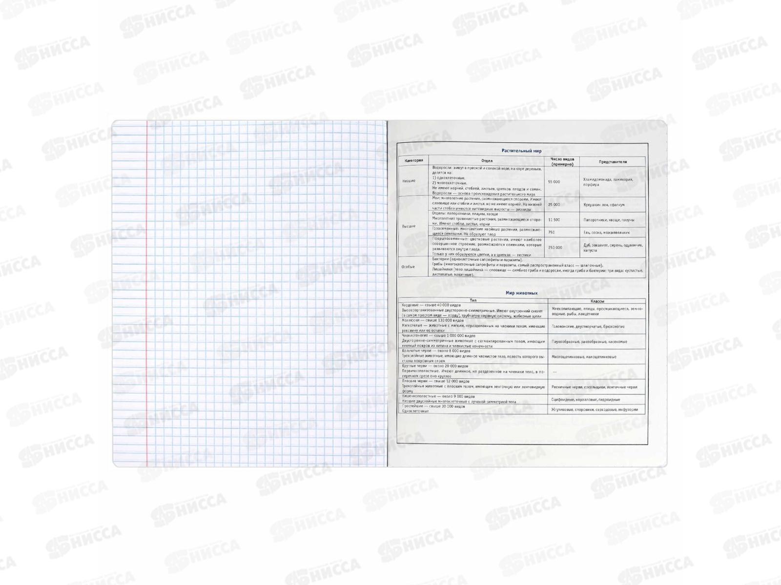 Тетрадь 48л кл. ФЕН Коты мемы. Биология, 69824  *16/48